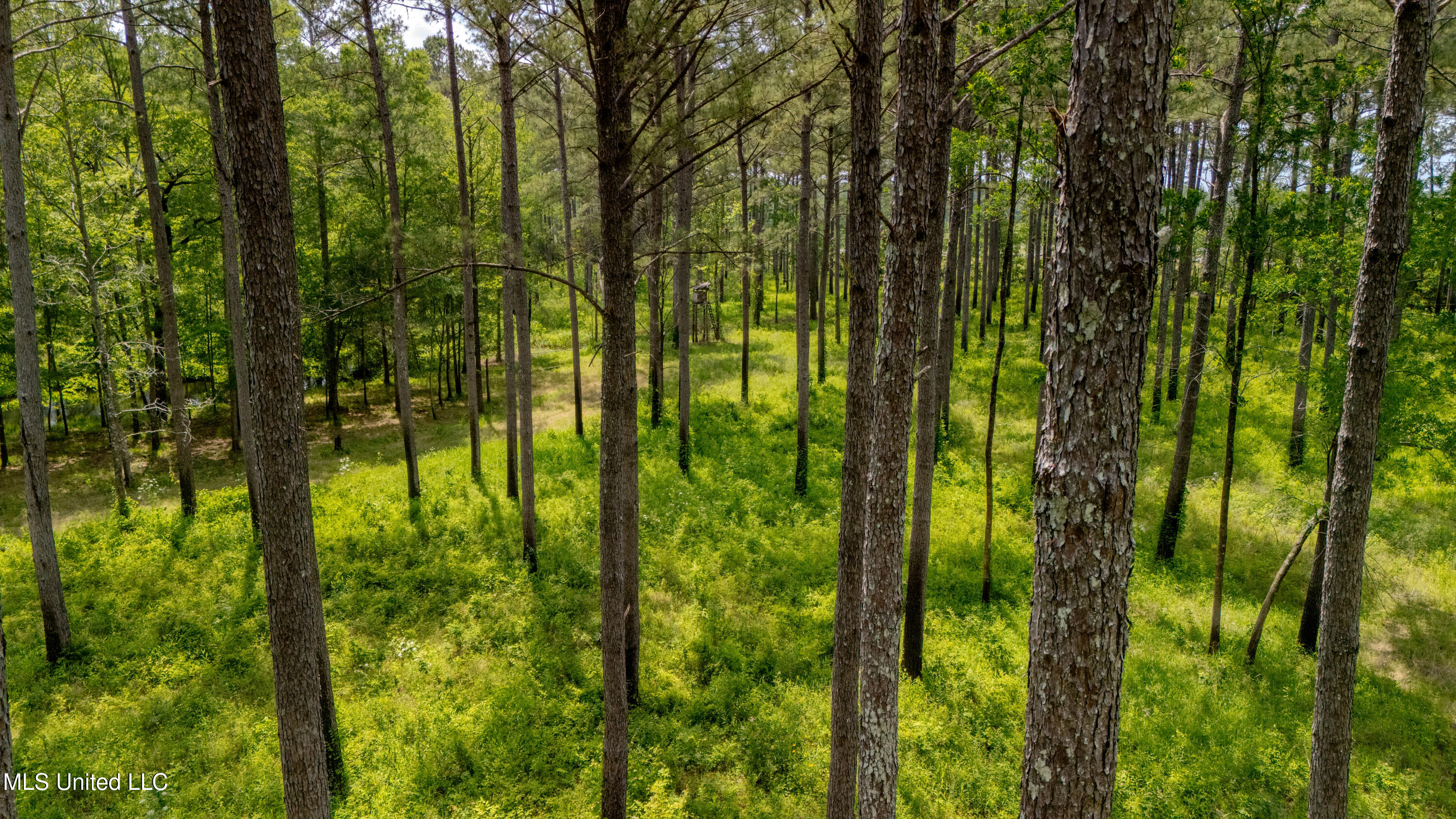 0000 Pleasant Ridge Road, Hickory, Mississippi image 46