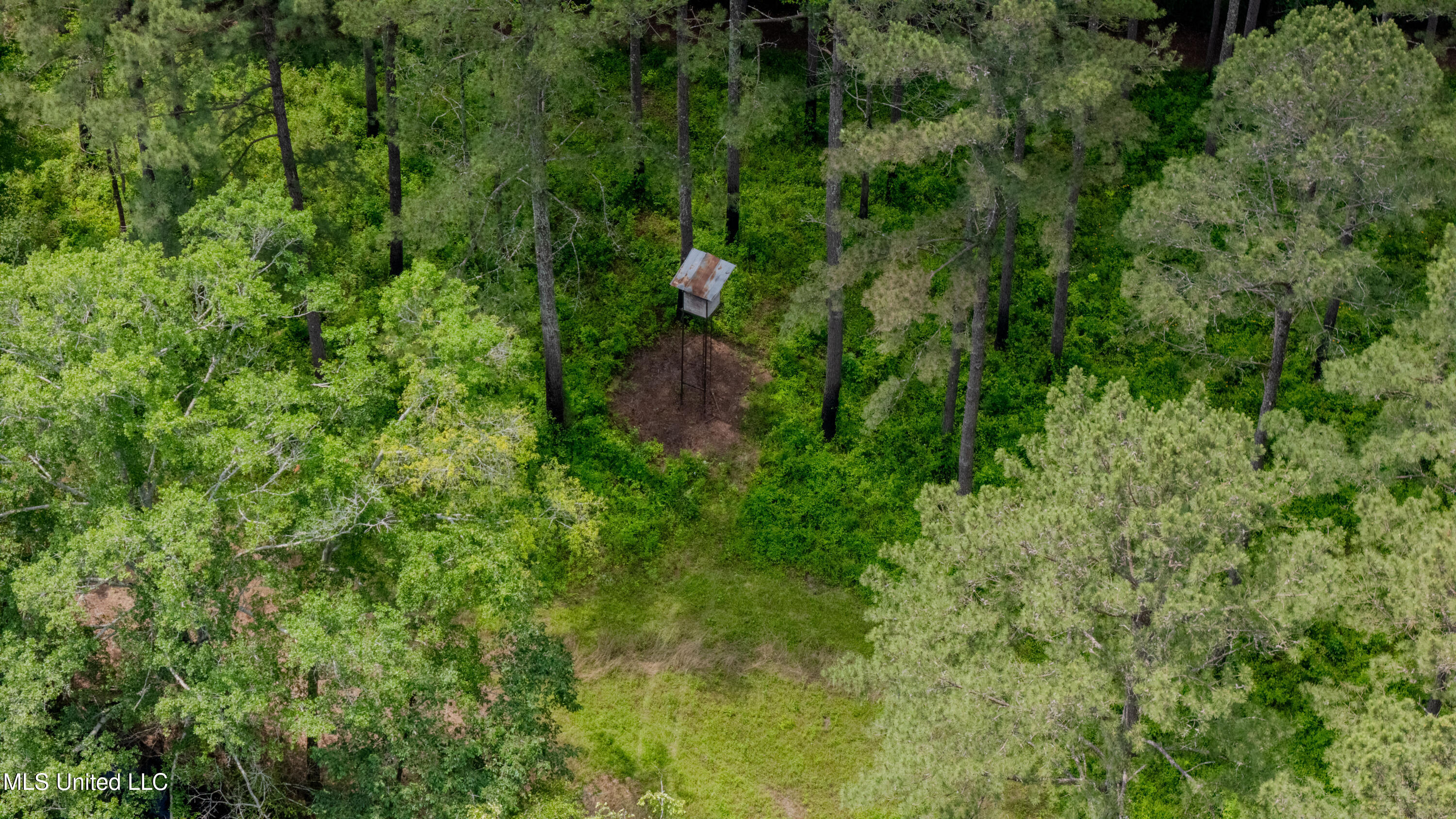 0000 Pleasant Ridge Road, Hickory, Mississippi image 48