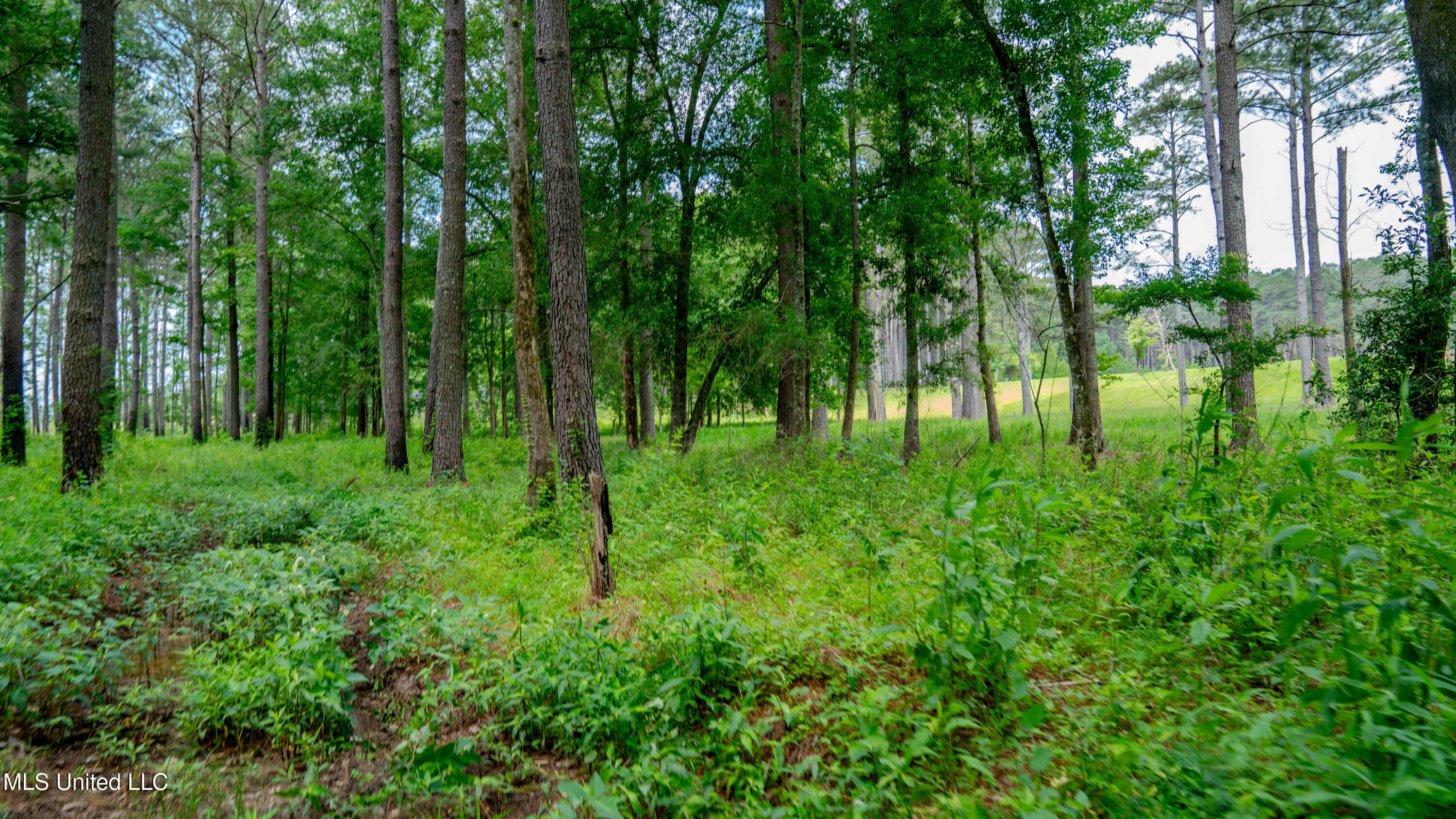 0000 Pleasant Ridge Road, Hickory, Mississippi image 39