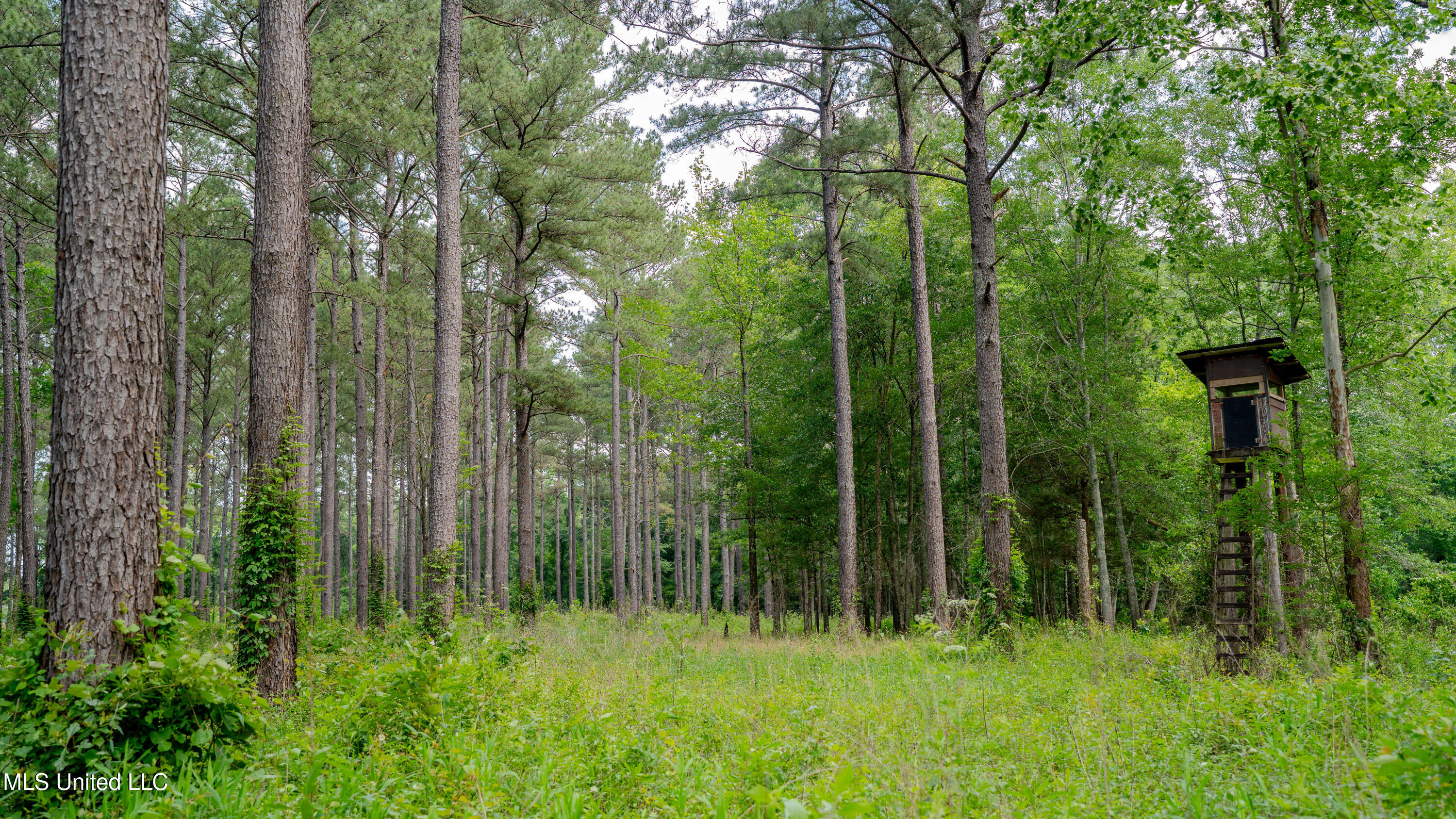 0000 Pleasant Ridge Road, Hickory, Mississippi image 10