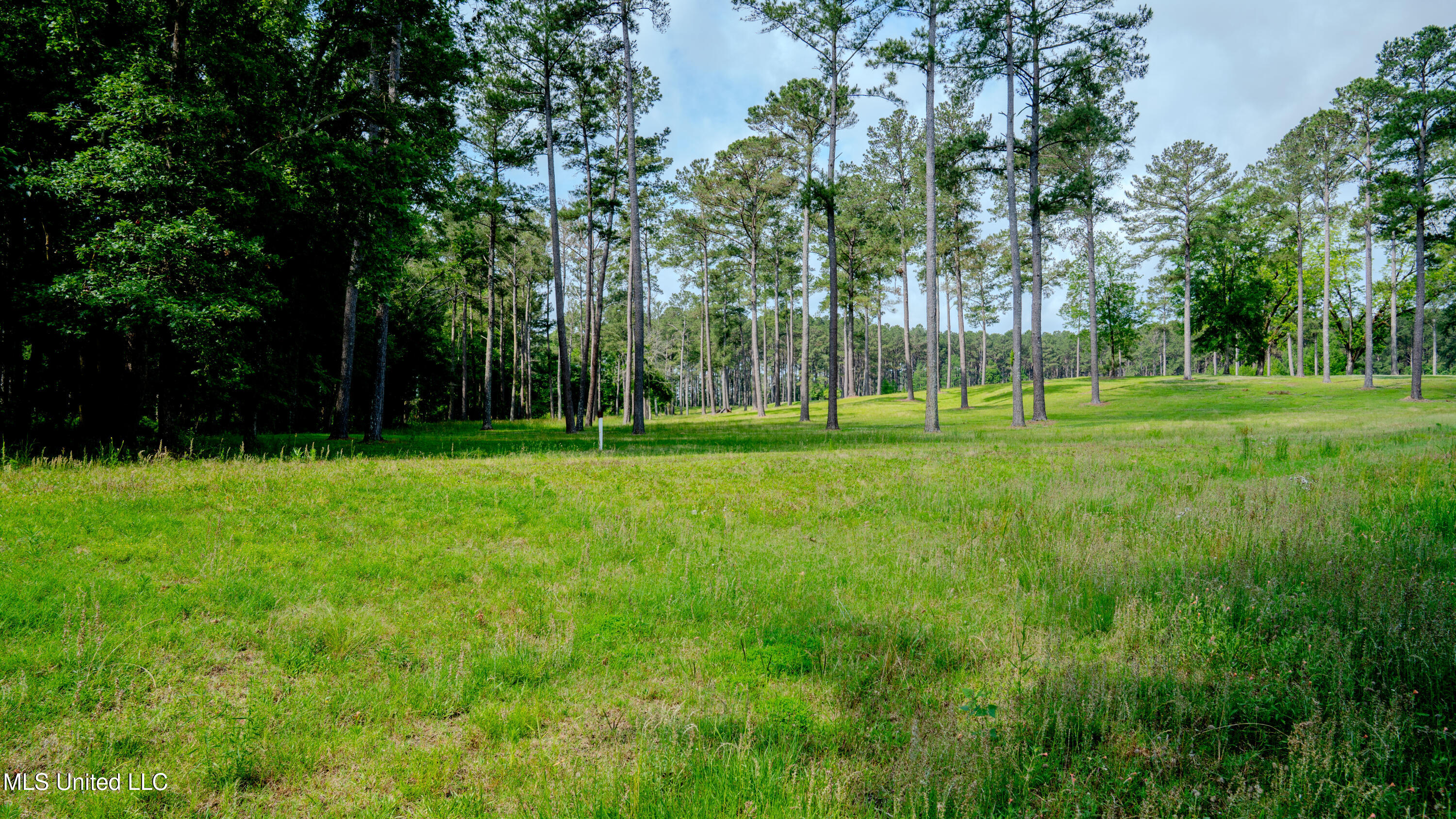 0000 Pleasant Ridge Road, Hickory, Mississippi image 26