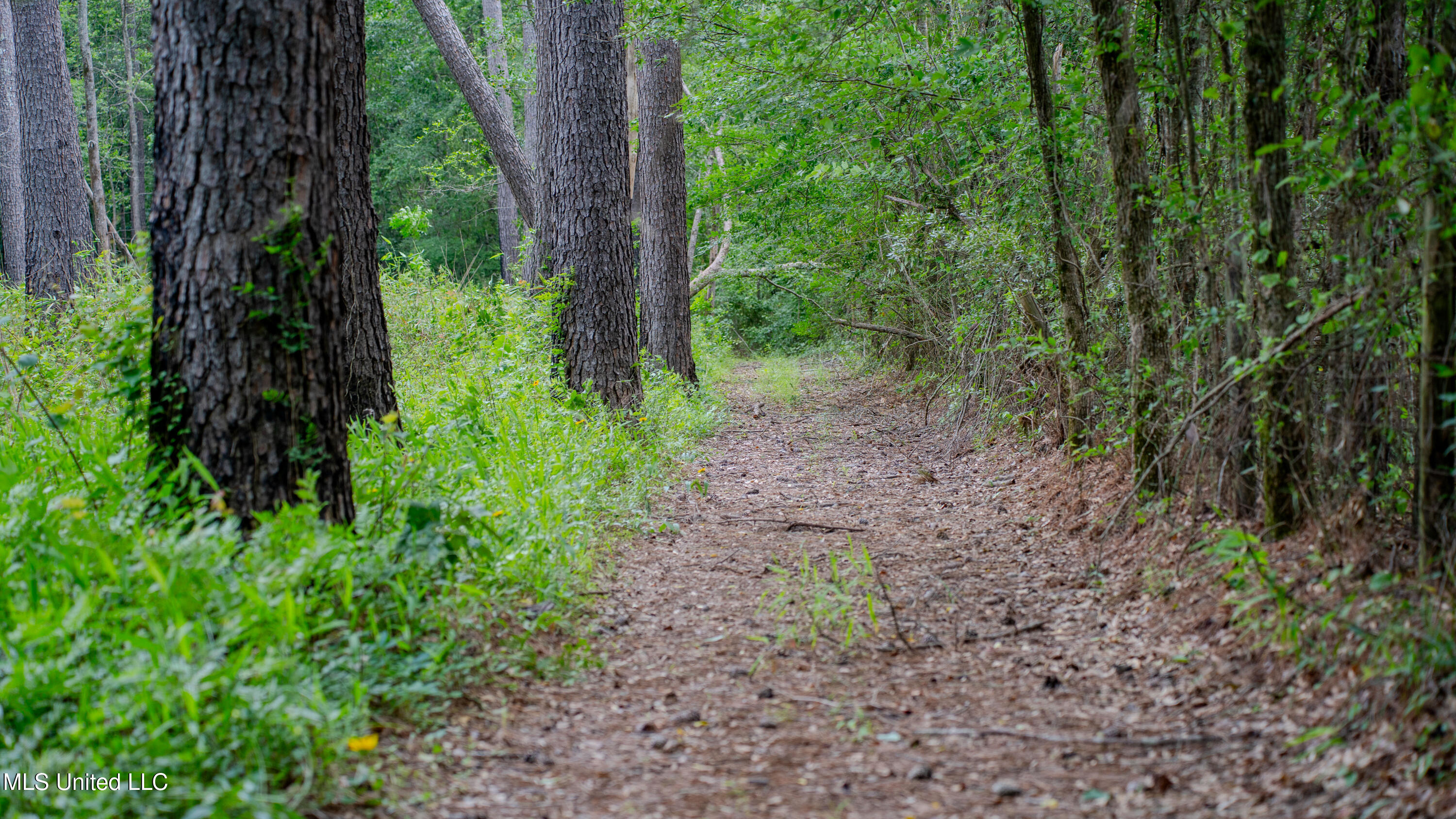 0000 Pleasant Ridge Road, Hickory, Mississippi image 7