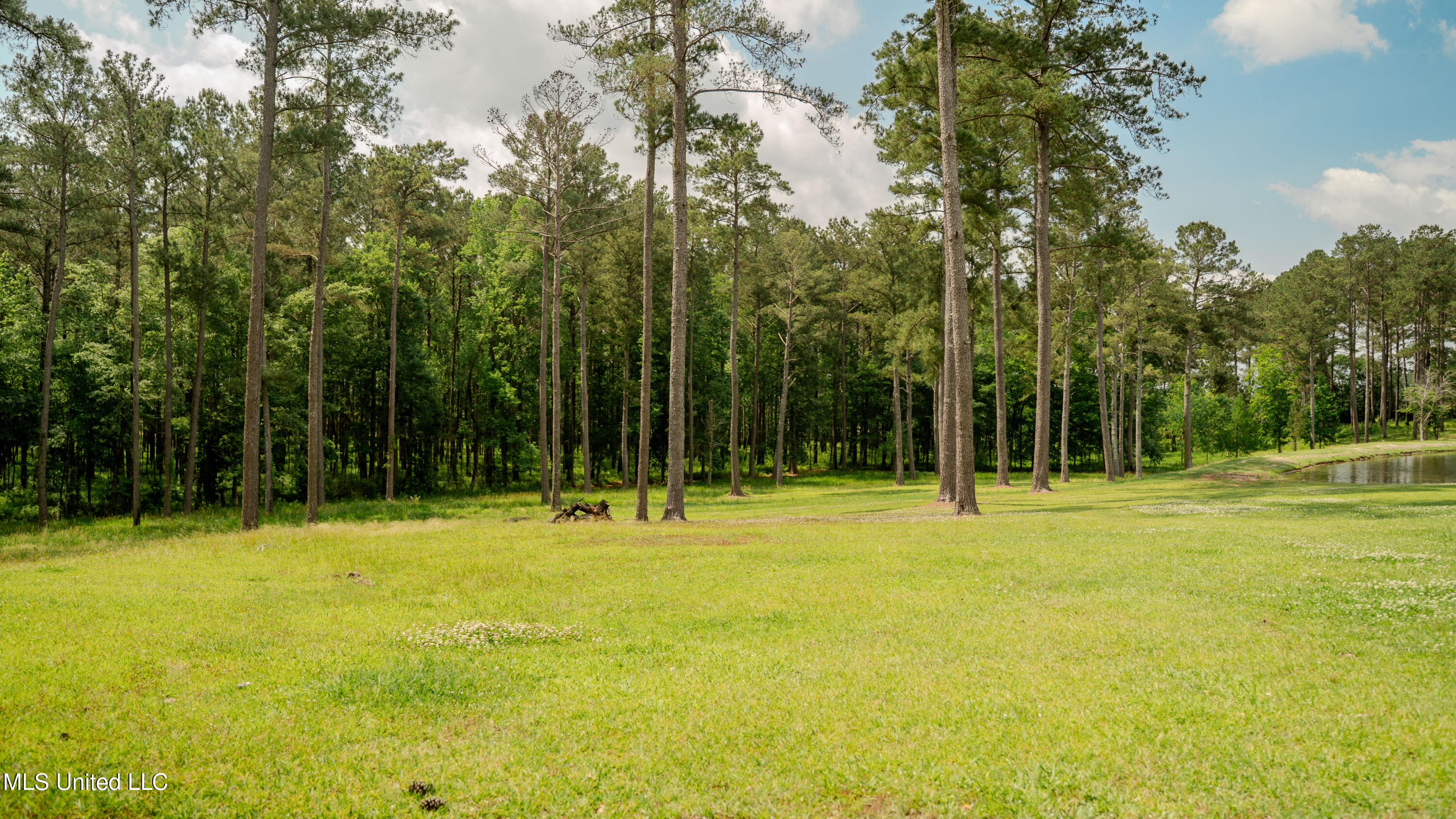 0000 Pleasant Ridge Road, Hickory, Mississippi image 16