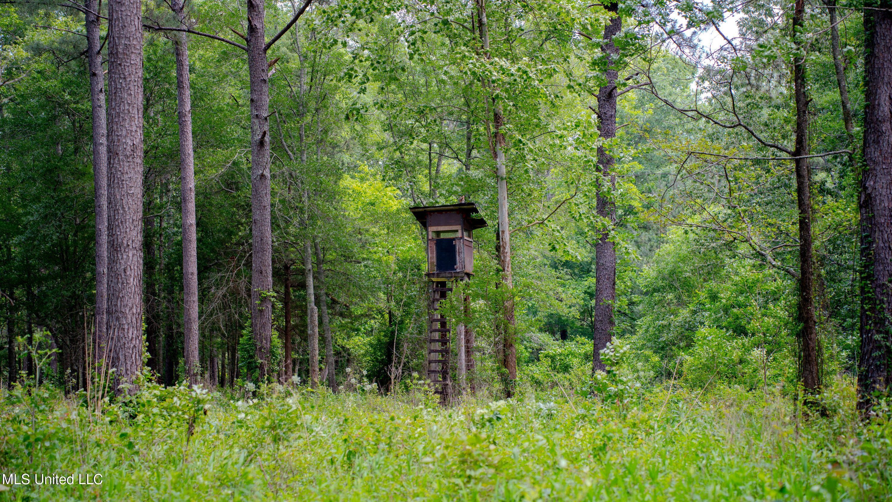 0000 Pleasant Ridge Road, Hickory, Mississippi image 9