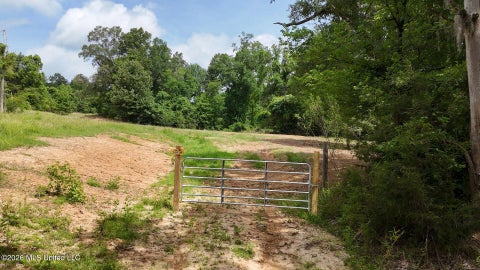 Vacant Land For Sale - Dogwood Road<br/> Vicksburg, MS 39180