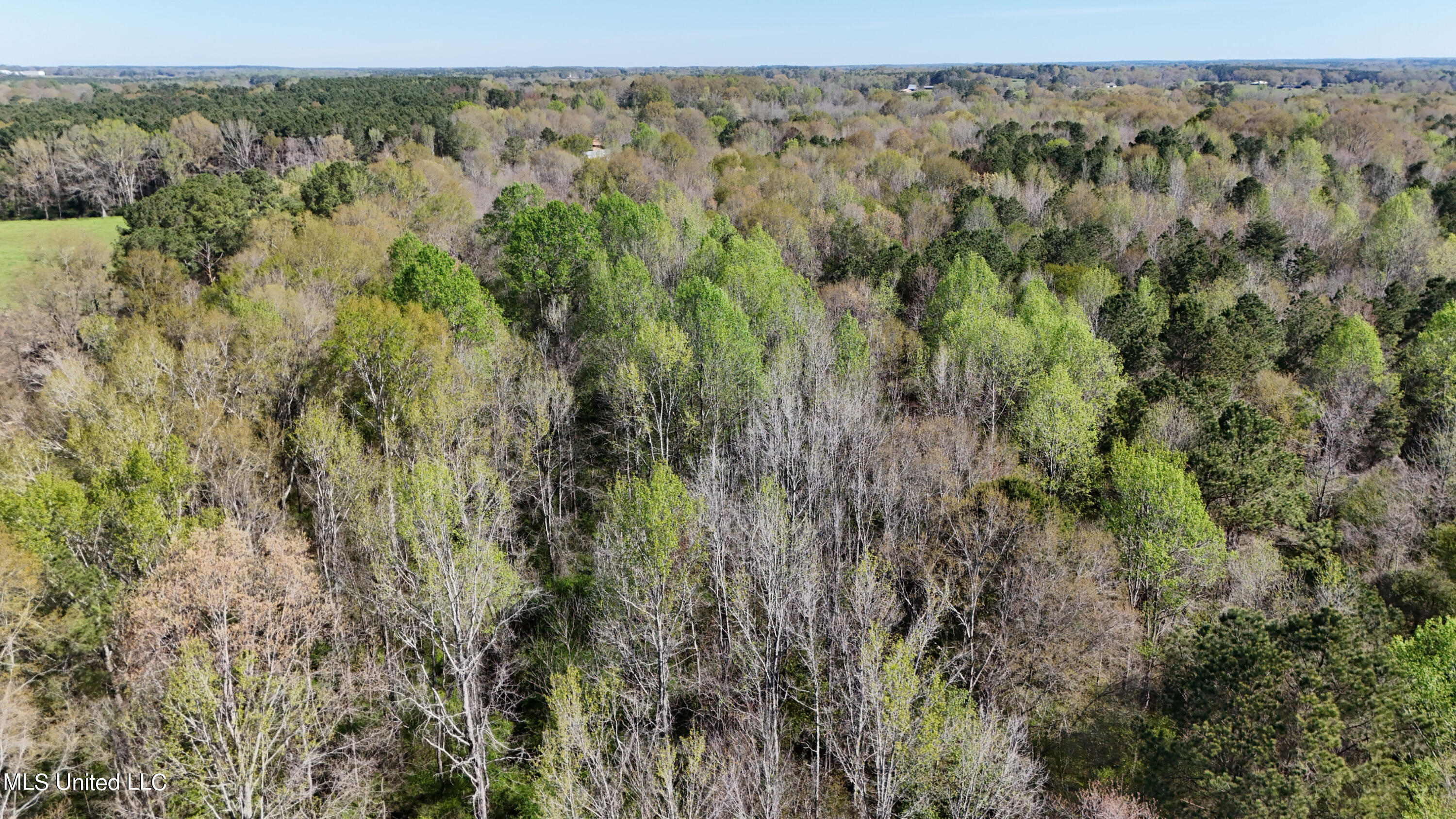 Thrash Road, Conehatta, Mississippi image 19