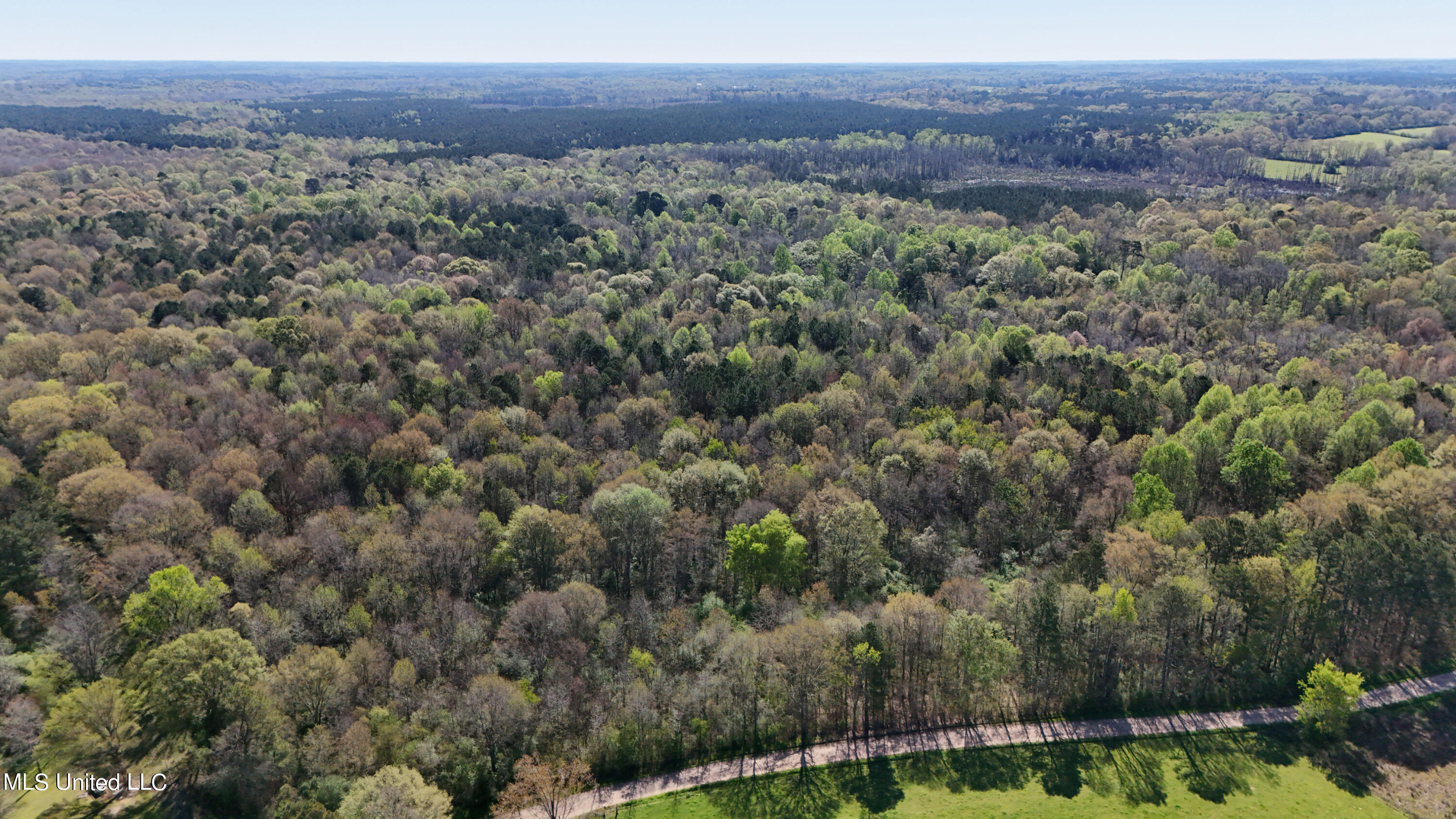 Thrash Road, Conehatta, Mississippi image 11