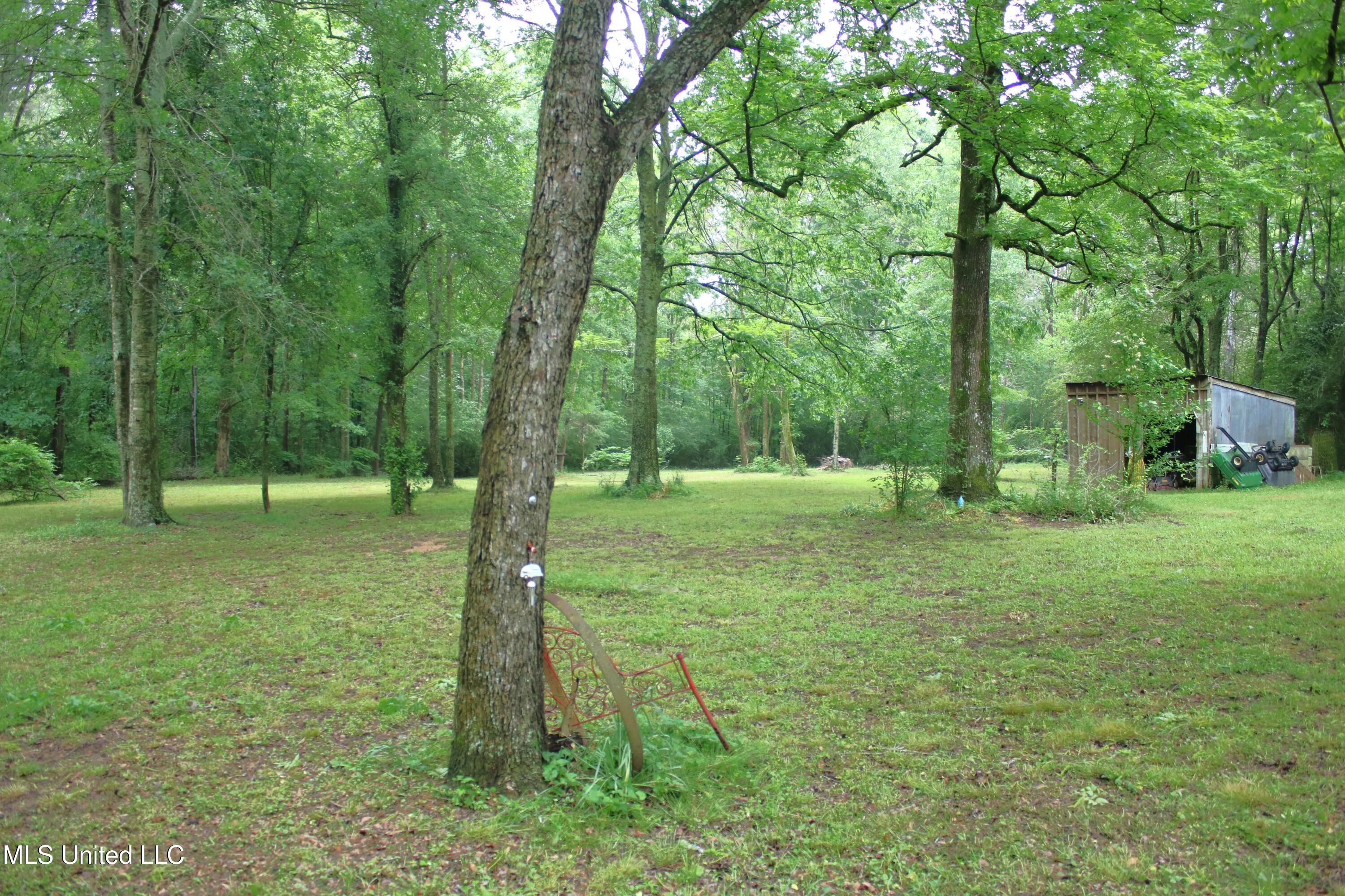 7173 Ms-35, Mize, Mississippi image 14