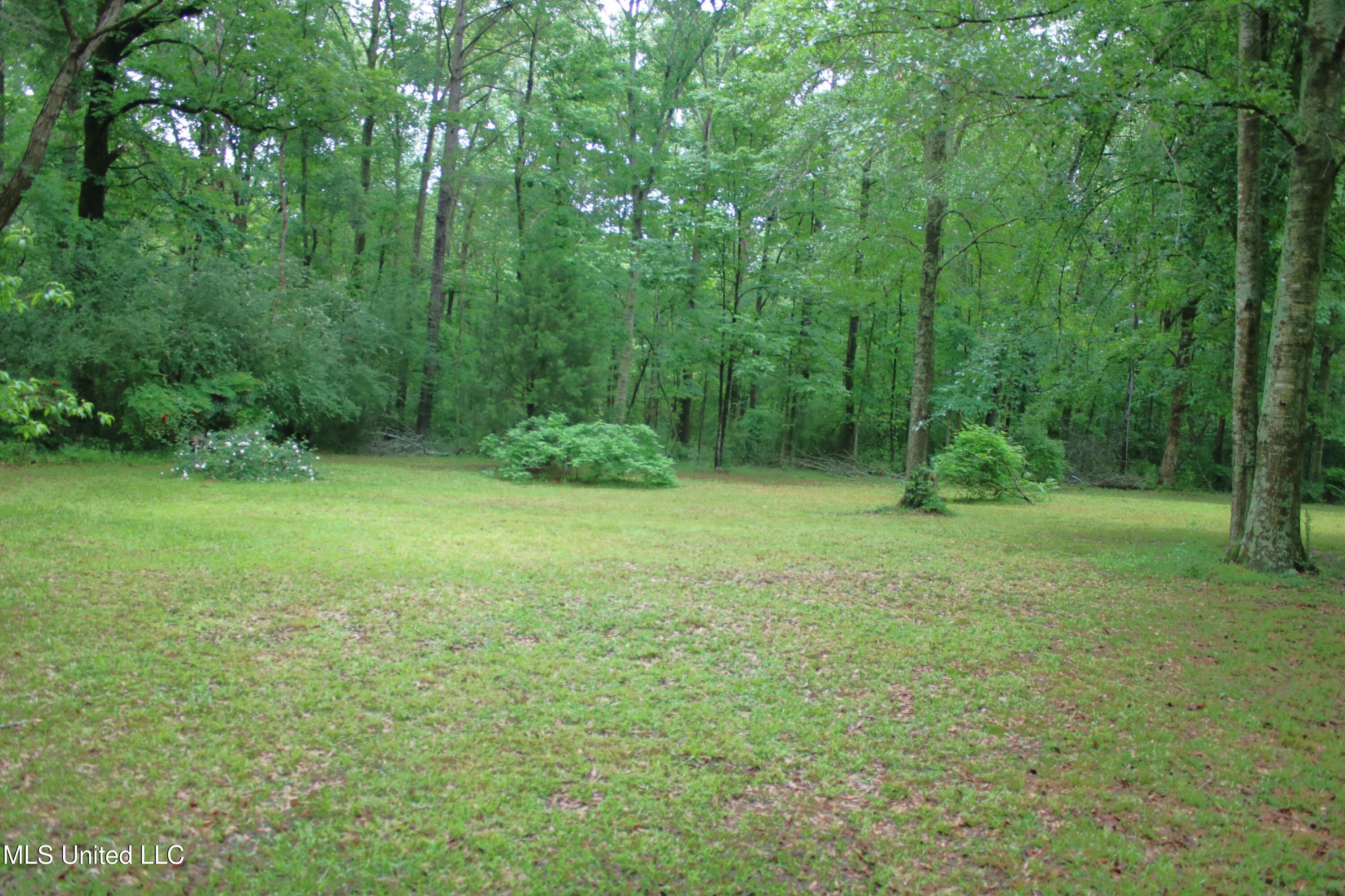 7173 Ms-35, Mize, Mississippi image 4