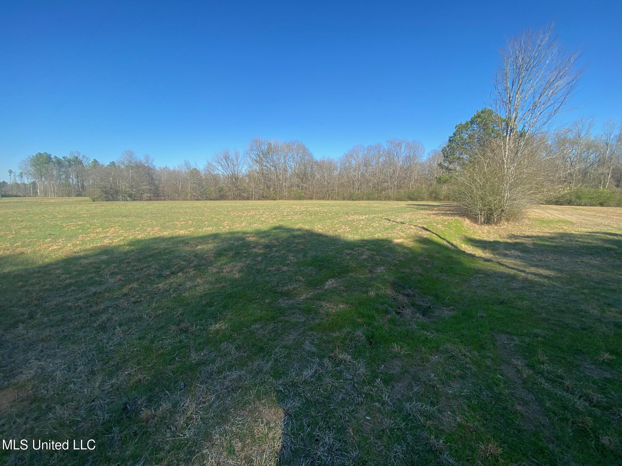 625 Camp Road, Carthage, Mississippi image 14