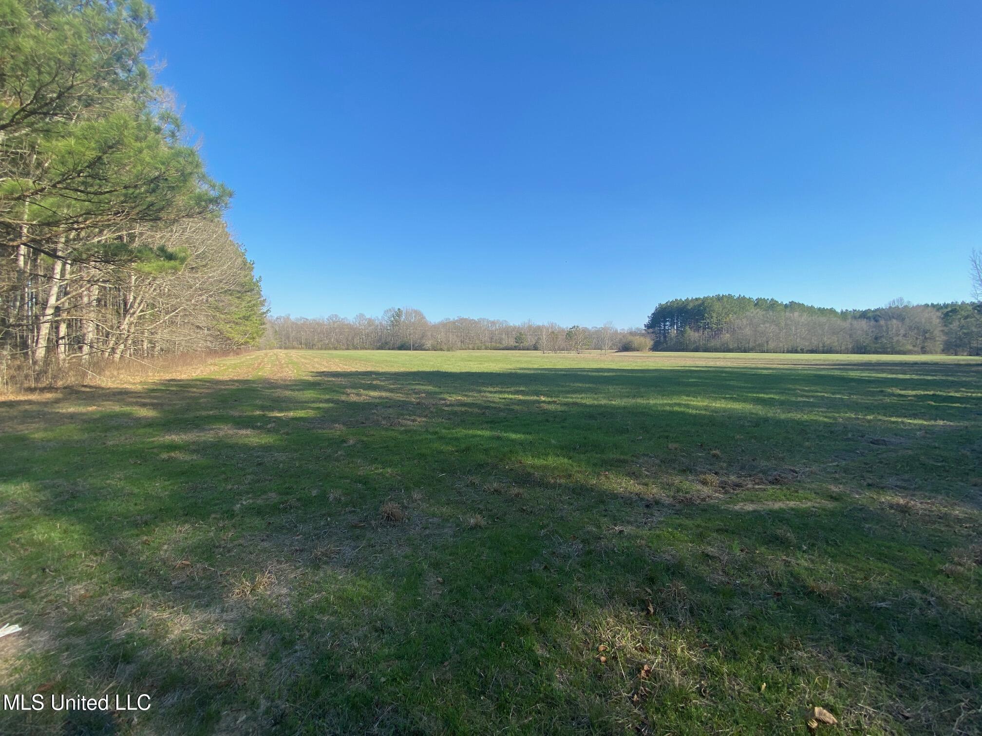 625 Camp Road, Carthage, Mississippi image 24