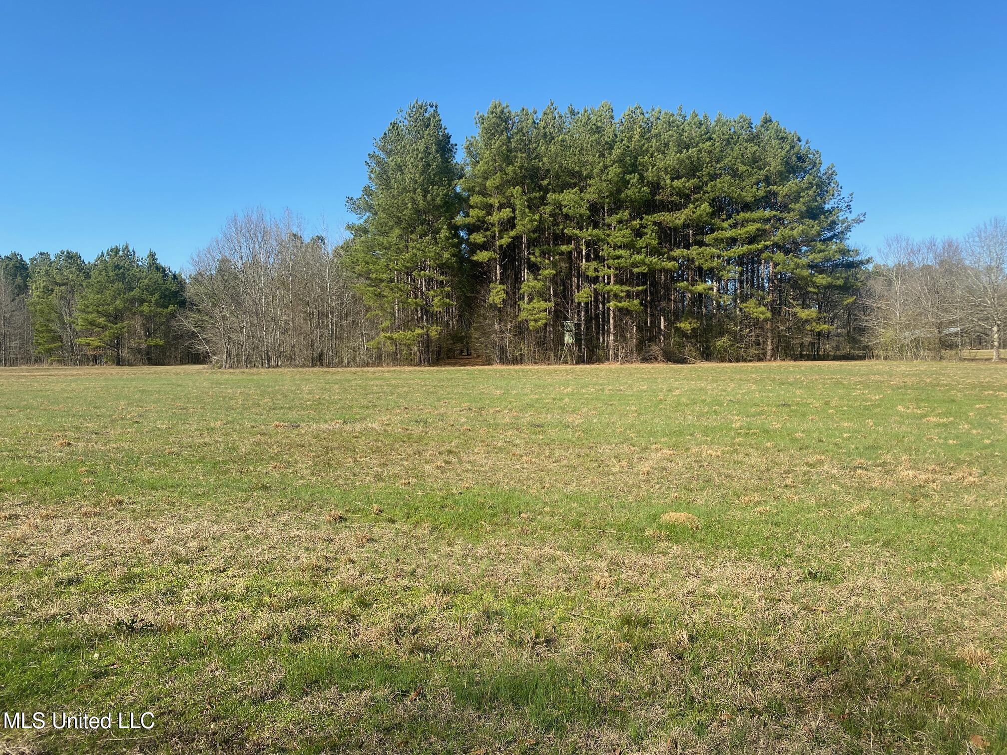 625 Camp Road, Carthage, Mississippi image 13