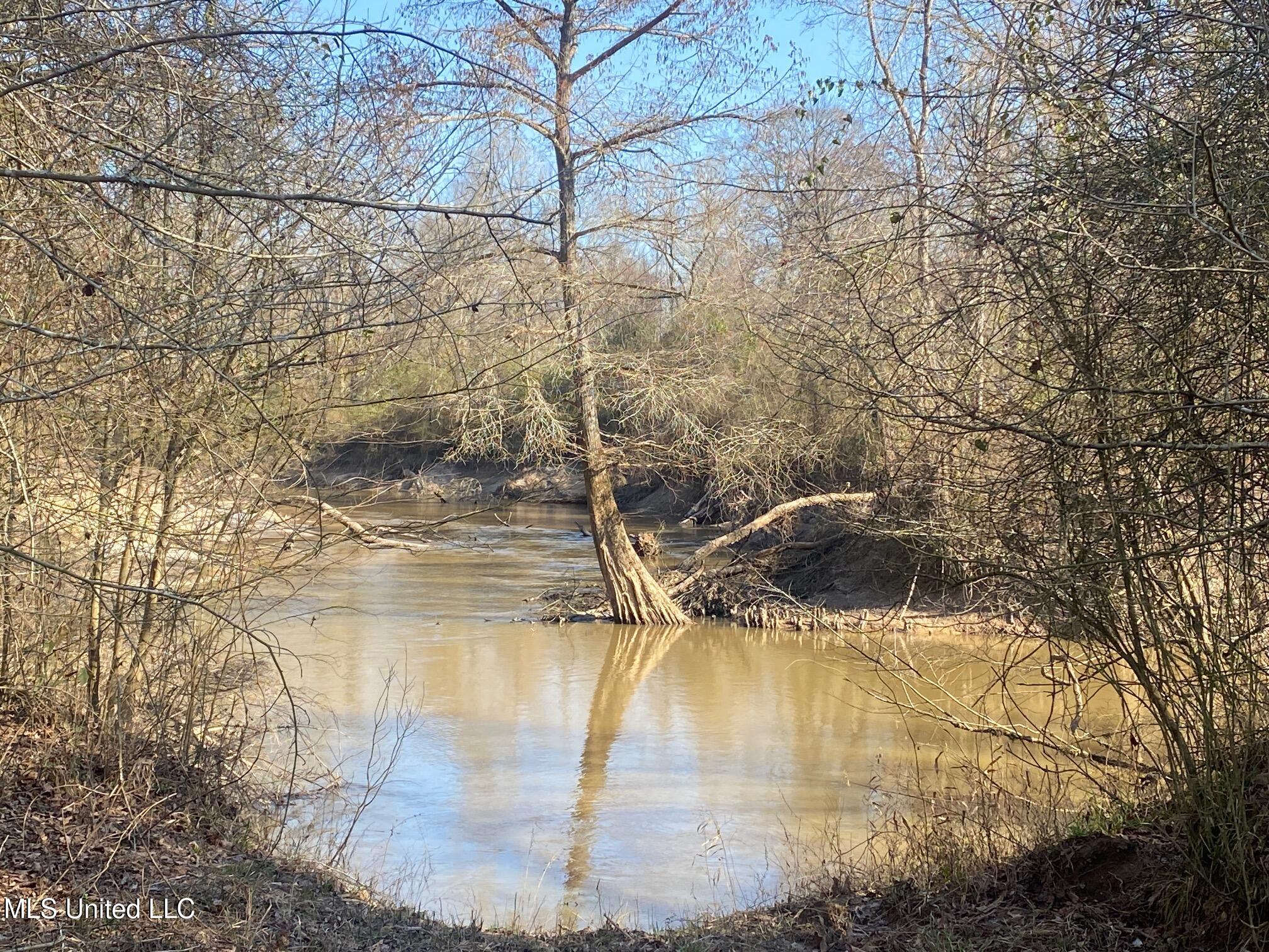 625 Camp Road, Carthage, Mississippi image 21