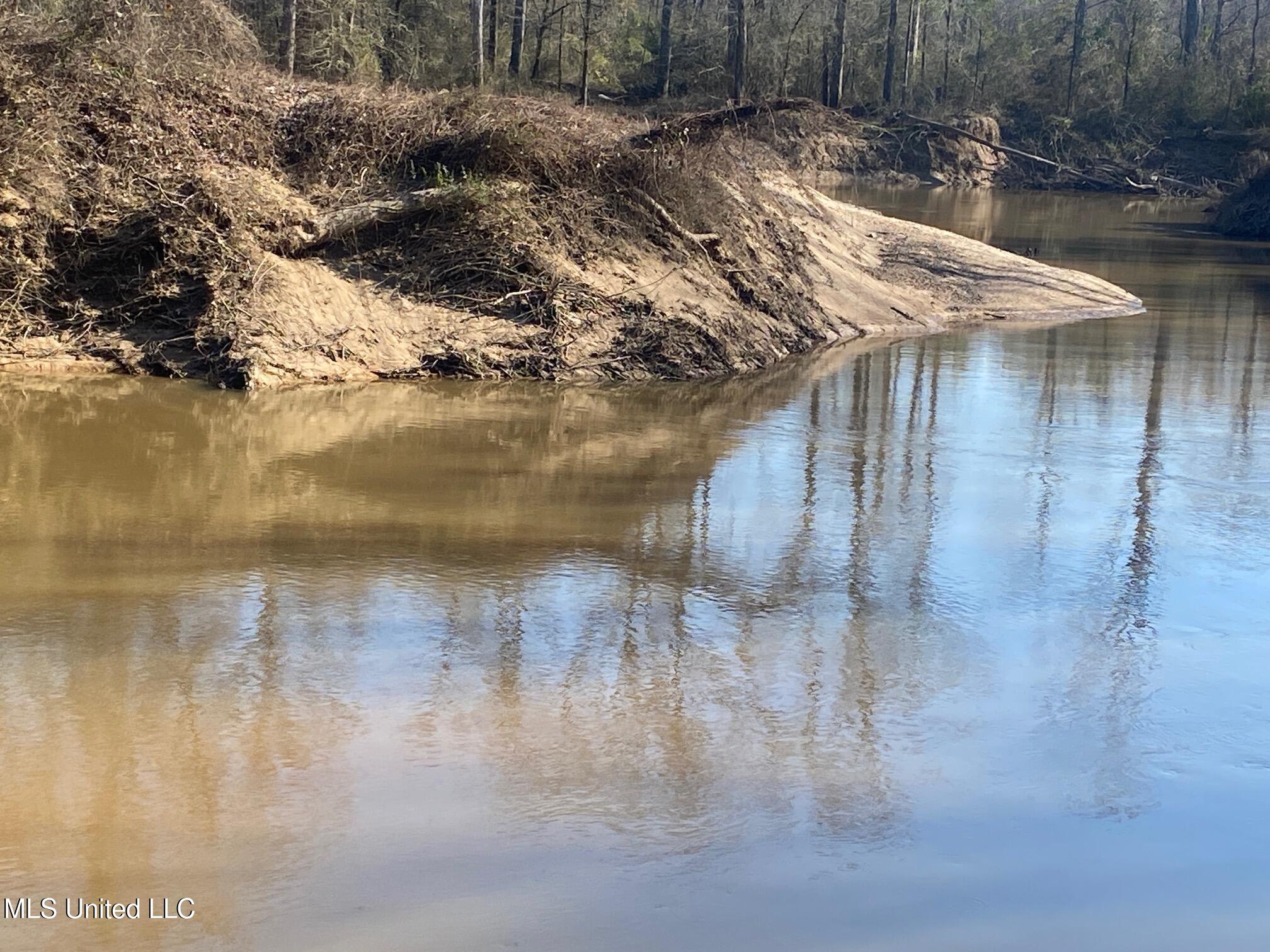 625 Camp Road, Carthage, Mississippi image 19