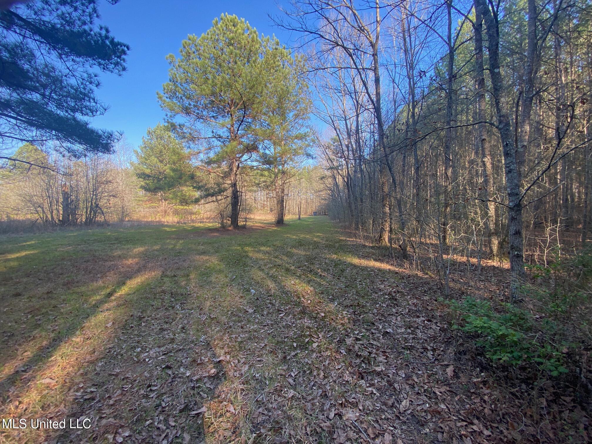 625 Camp Road, Carthage, Mississippi image 26
