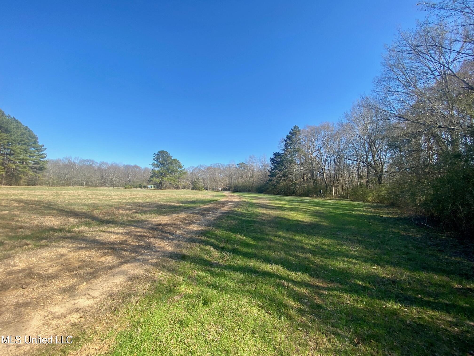 625 Camp Road, Carthage, Mississippi image 1