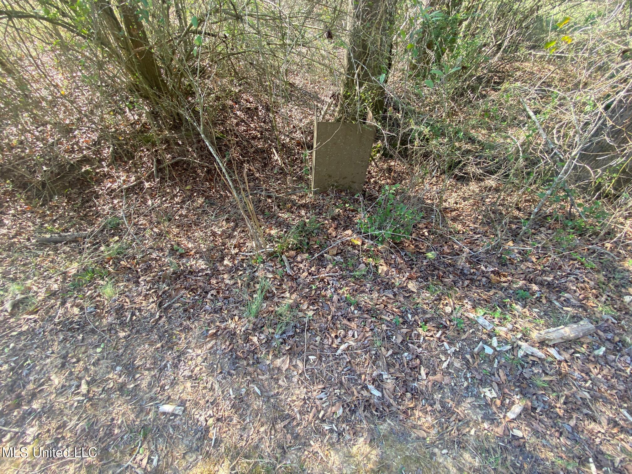 625 Camp Road, Carthage, Mississippi image 16