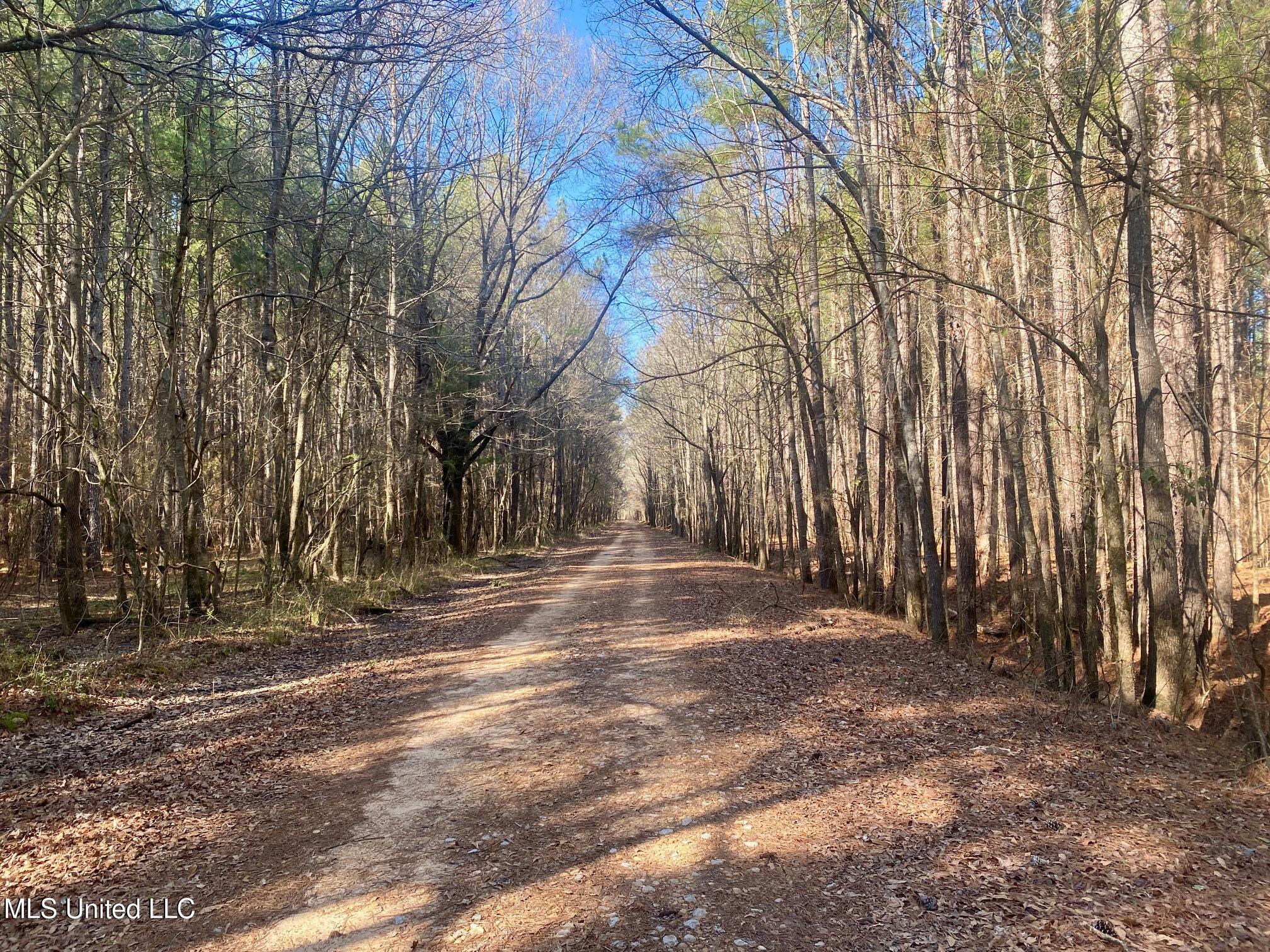 625 Camp Road, Carthage, Mississippi image 12