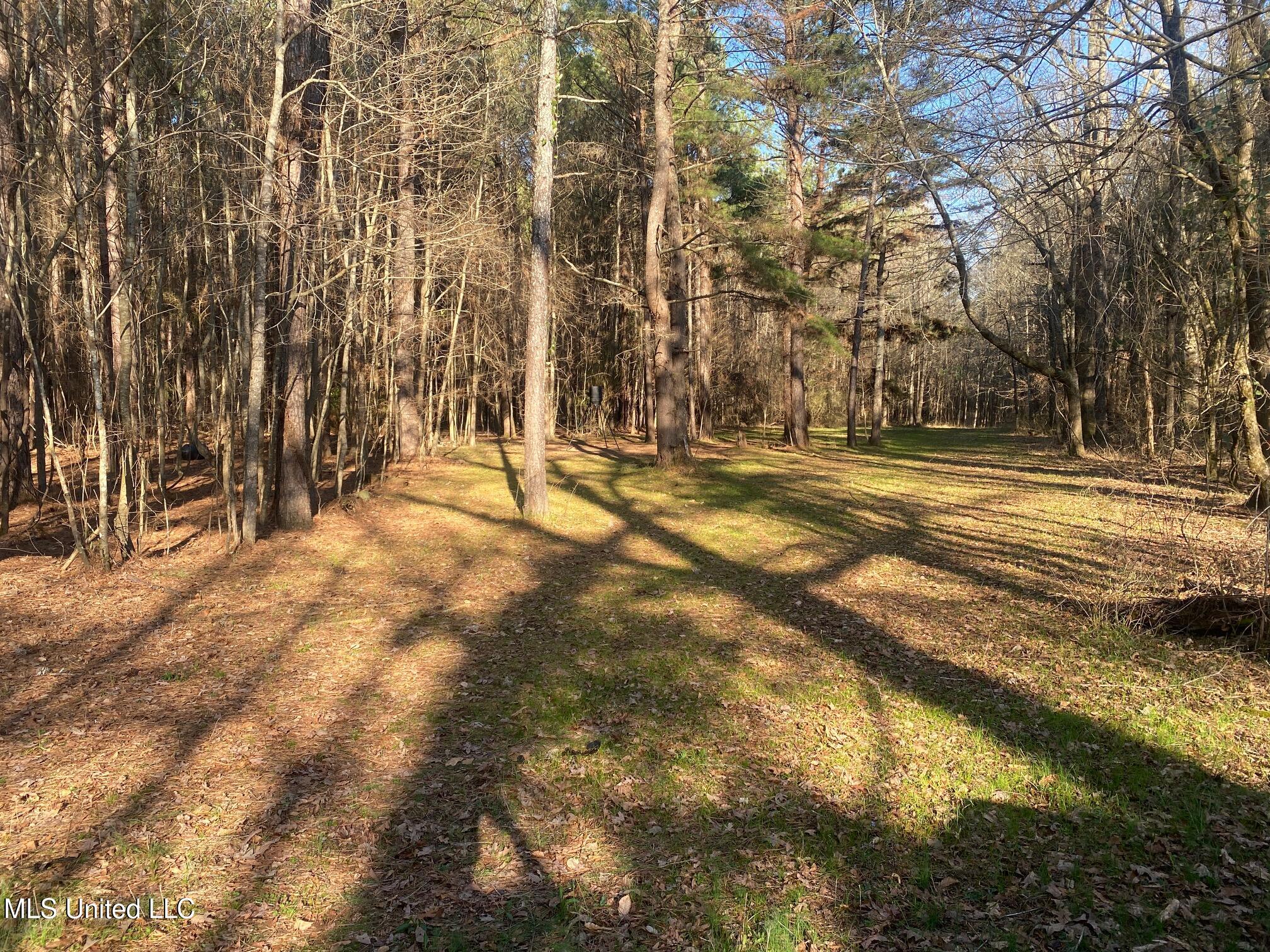 625 Camp Road, Carthage, Mississippi image 31