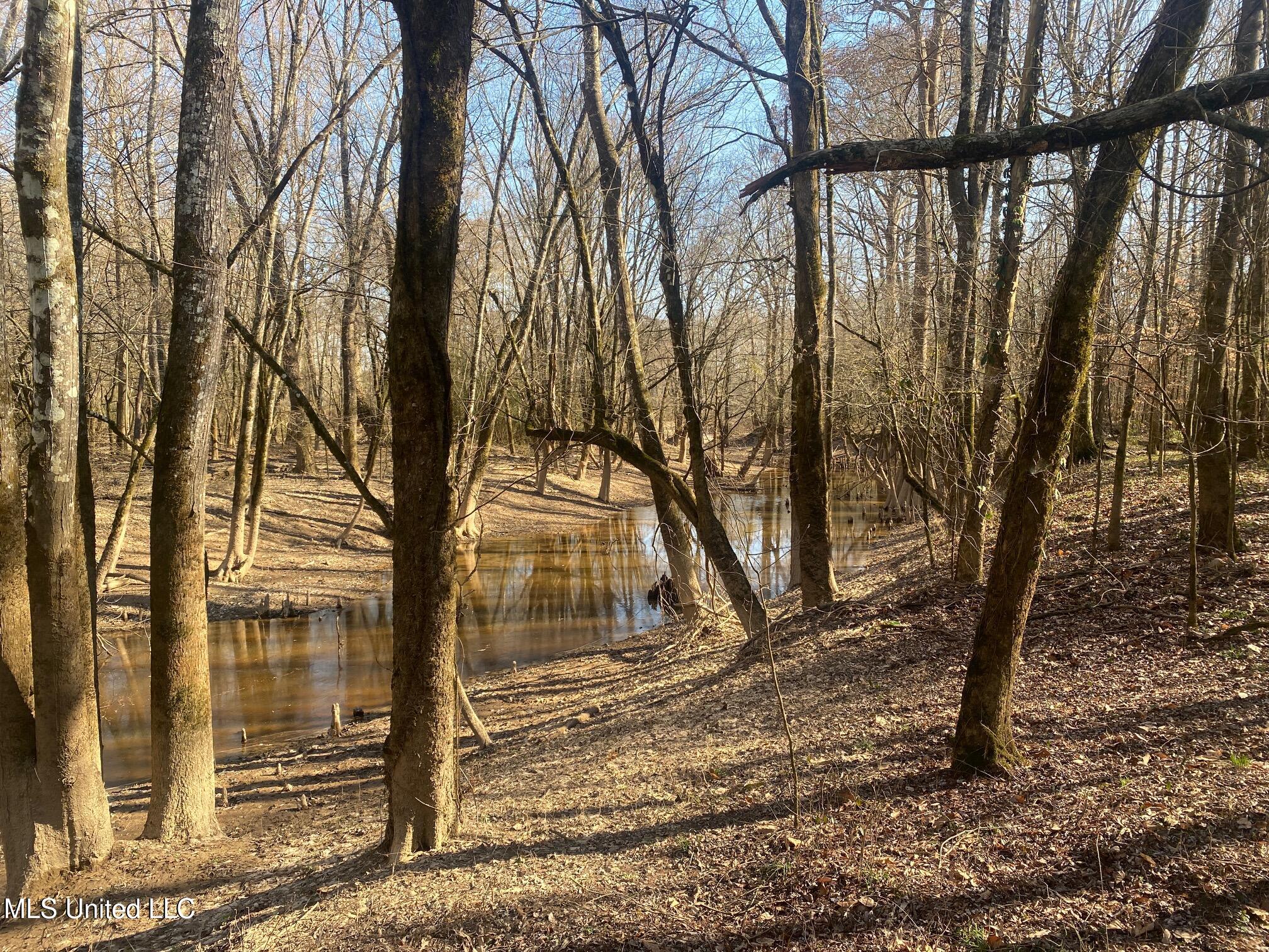 625 Camp Road, Carthage, Mississippi image 3