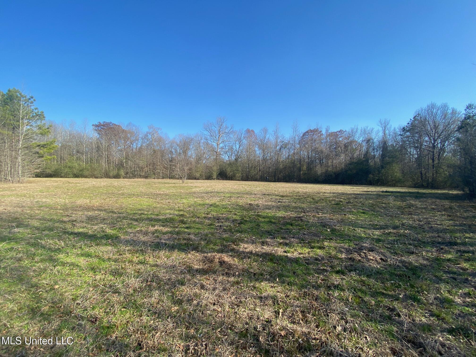 625 Camp Road, Carthage, Mississippi image 22