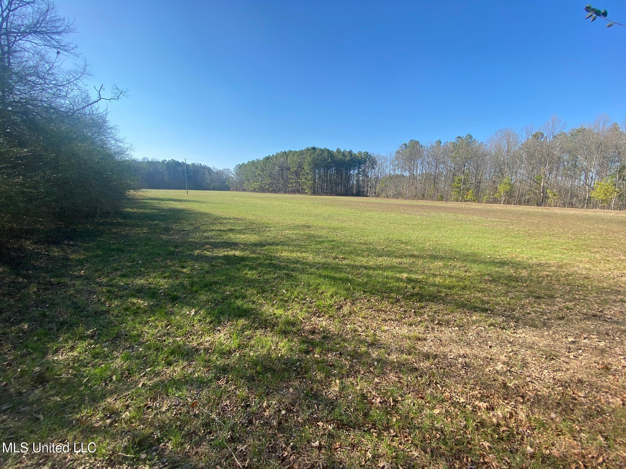 625 Camp Road, Carthage, Mississippi image 17