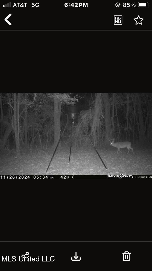 625 Camp Road, Carthage, Mississippi image 38