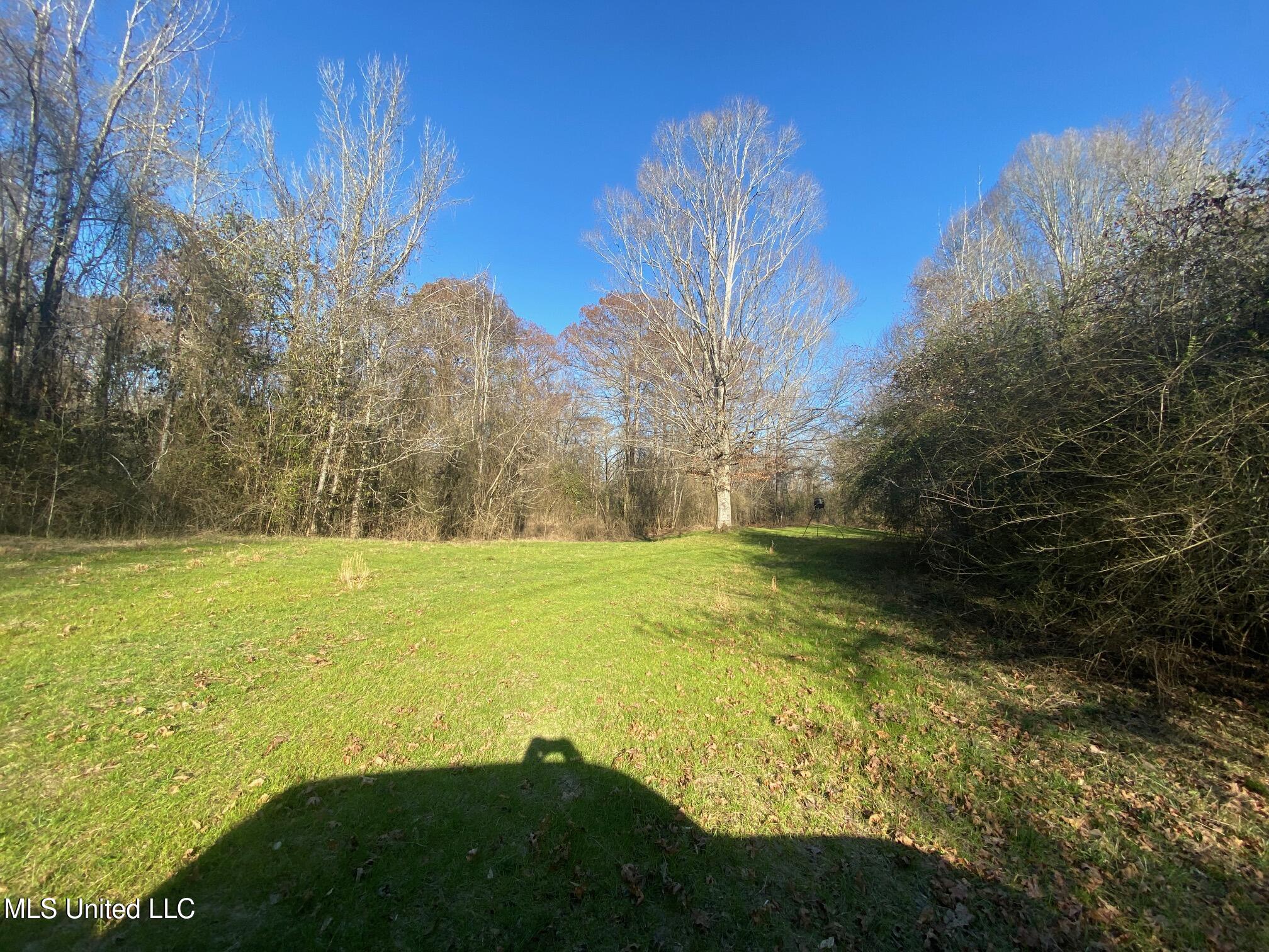 625 Camp Road, Carthage, Mississippi image 29