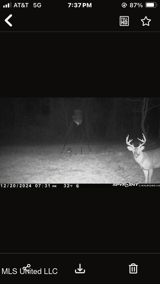 625 Camp Road, Carthage, Mississippi image 39