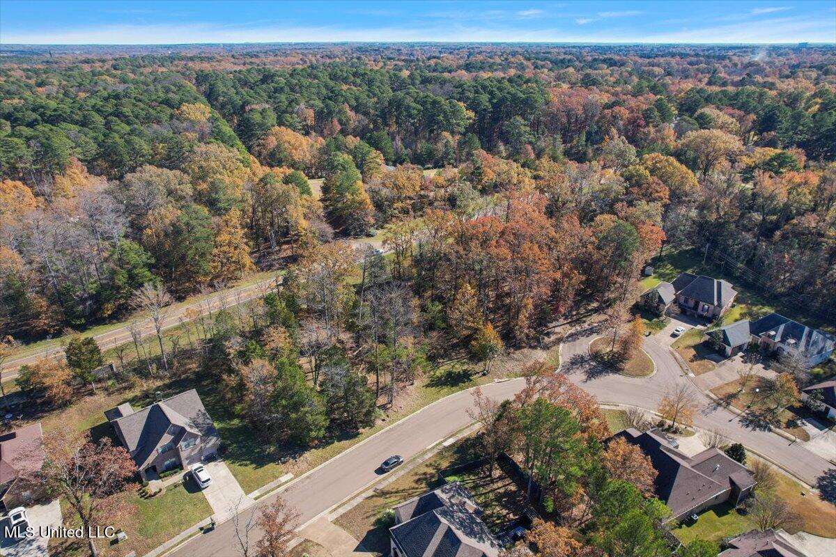 Wind Dance Drive, Lot 25, Madison, Mississippi image 9