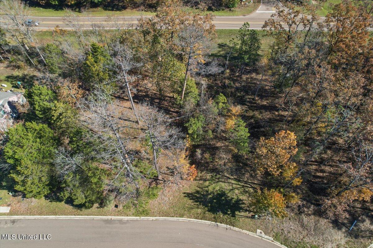 Wind Dance Drive, Lot 25, Madison, Mississippi image 3