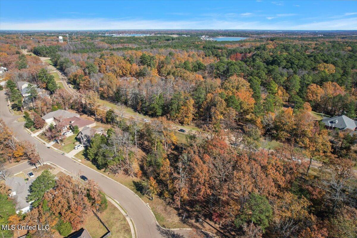 Wind Dance Drive, Lot 25, Madison, Mississippi image 10