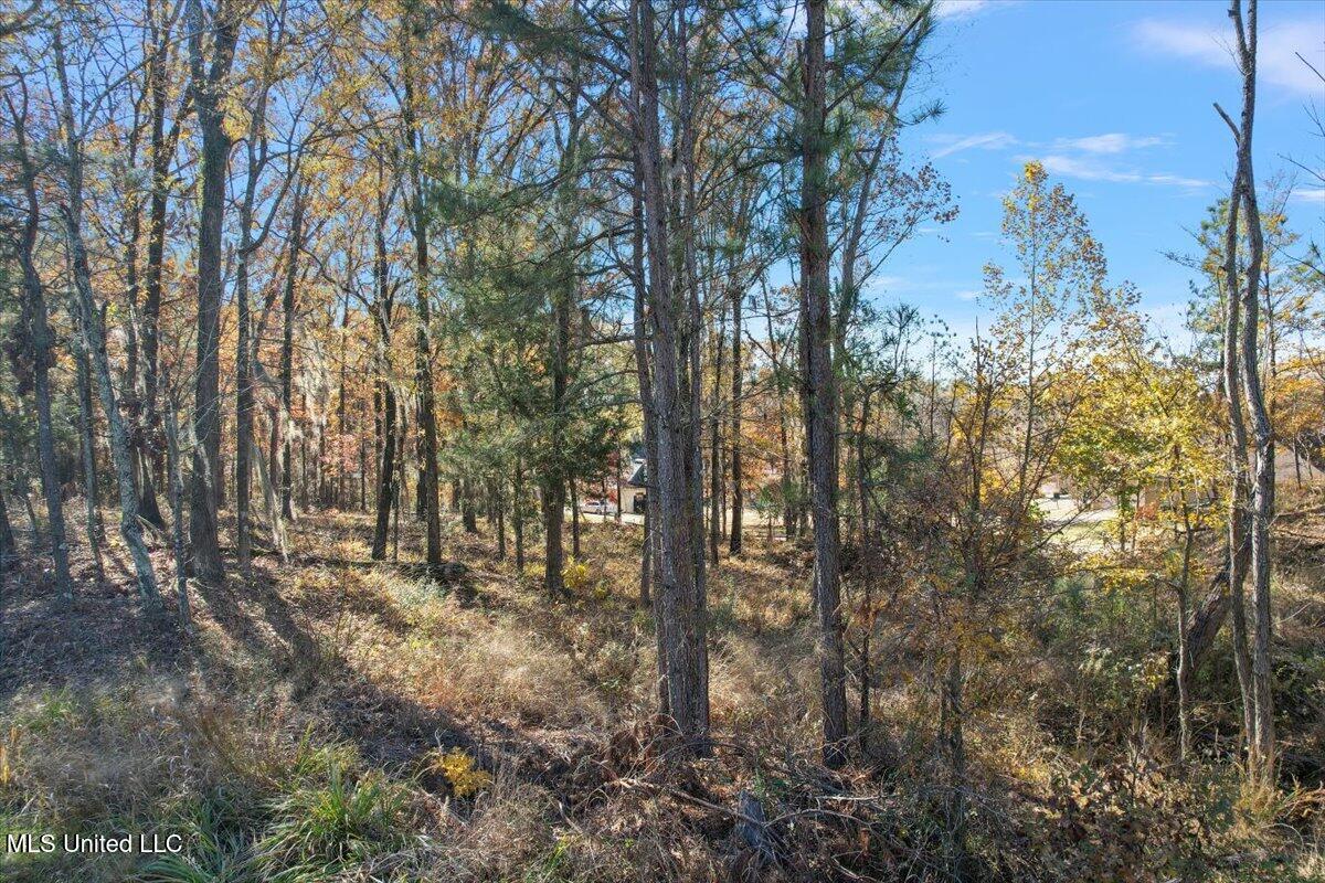 Wind Dance Drive, Lot 25, Madison, Mississippi image 2