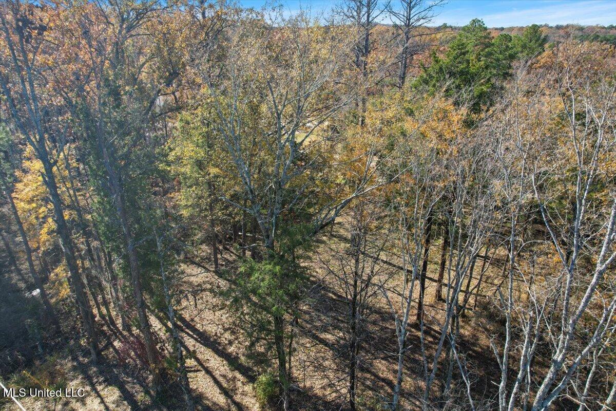 Wind Dance Drive, Lot 25, Madison, Mississippi image 4