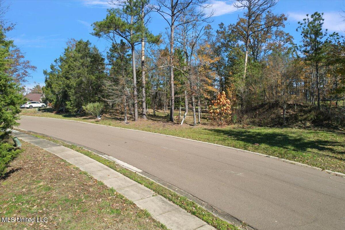 Wind Dance Drive, Lot 25, Madison, Mississippi image 1