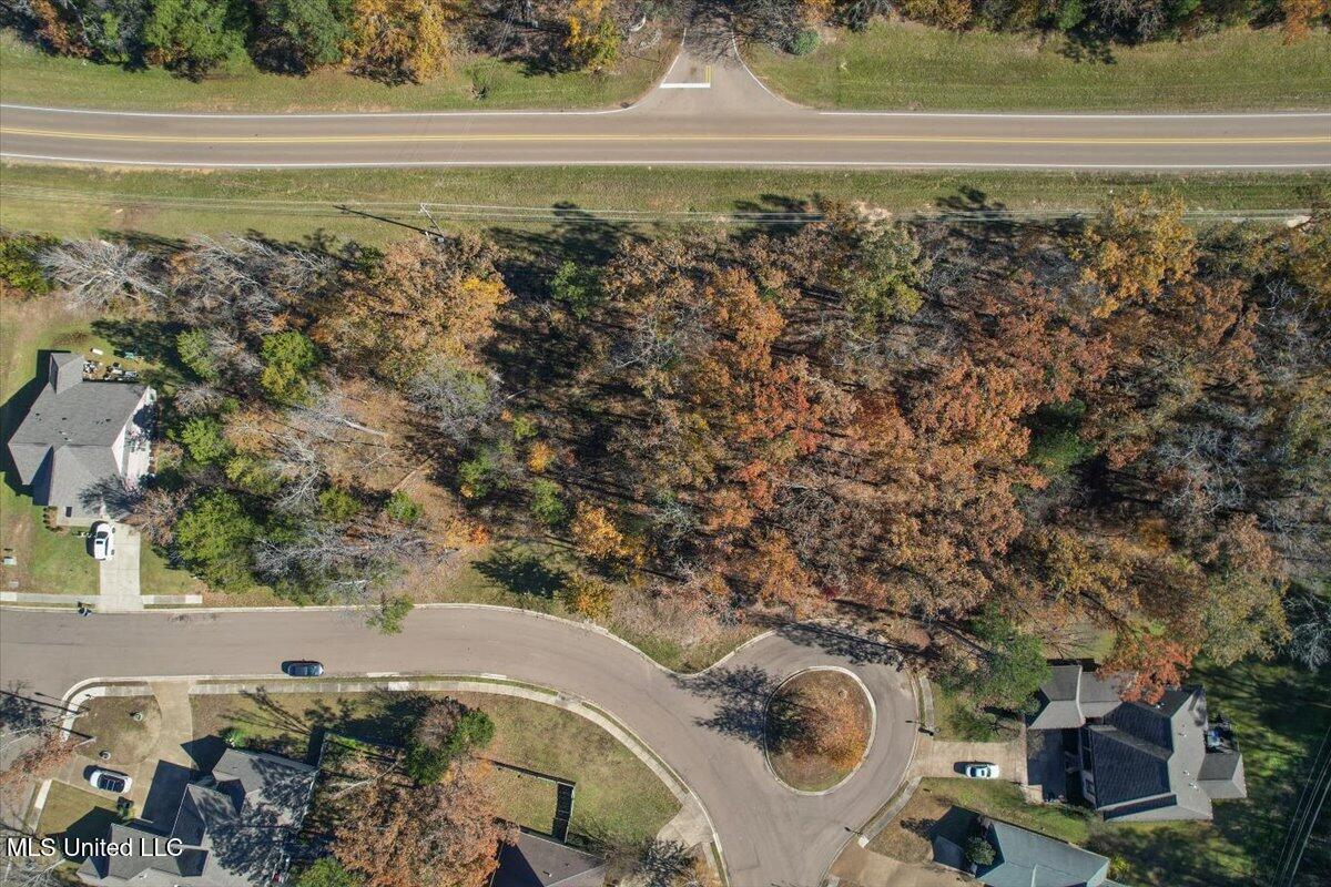 Wind Dance Drive, Lot 25, Madison, Mississippi image 8