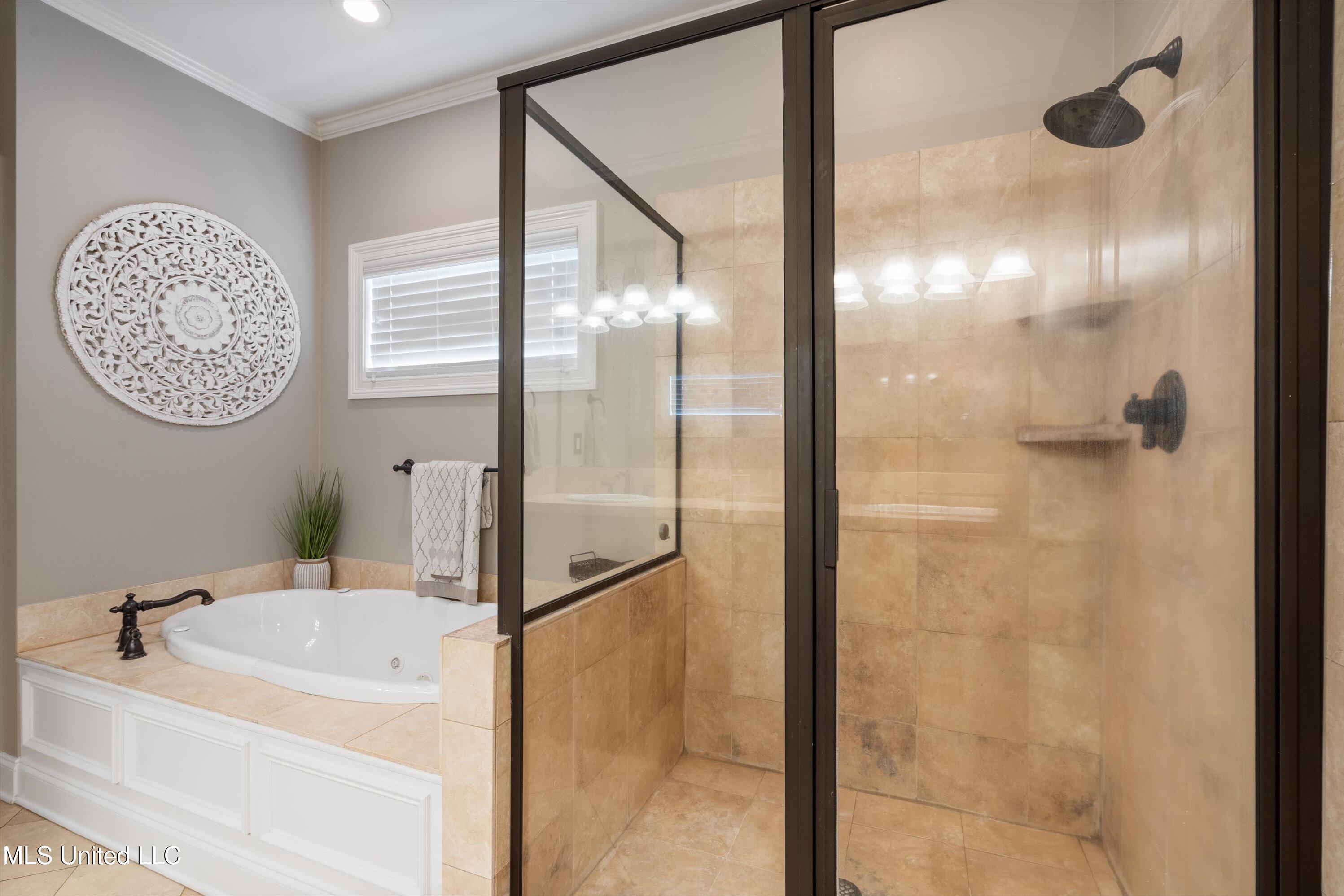 4293 Trumpington Cove, Southaven, Mississippi image 25
