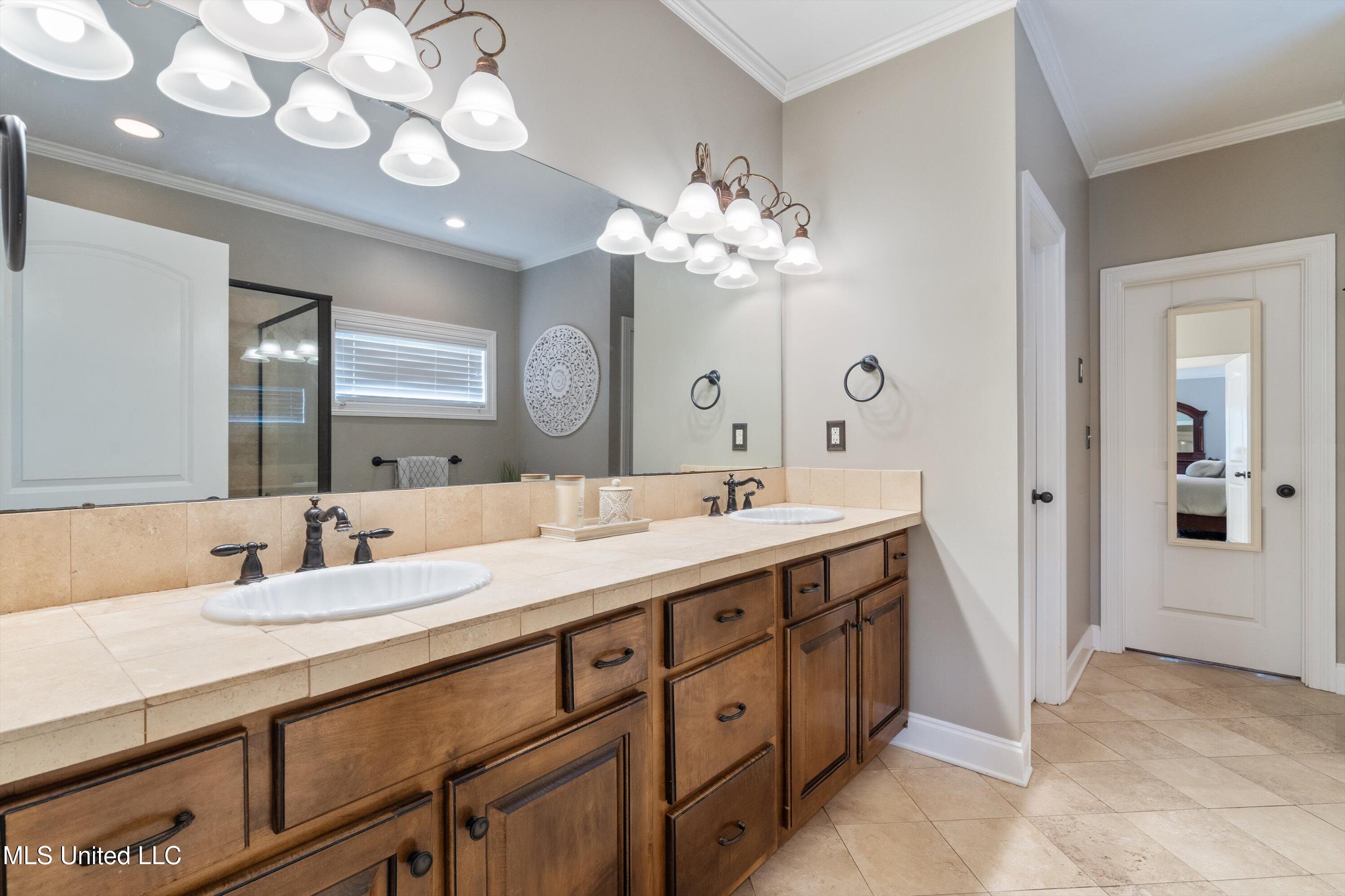4293 Trumpington Cove, Southaven, Mississippi image 24