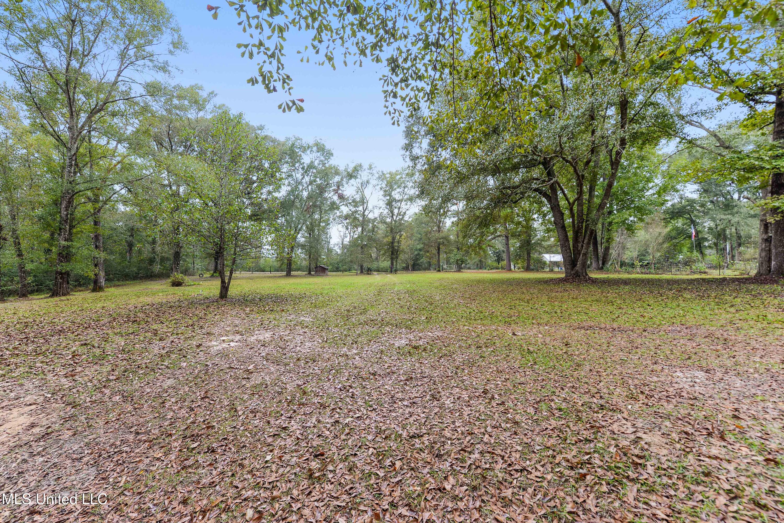 1160 Lucas Road, Lucedale, Mississippi image 4