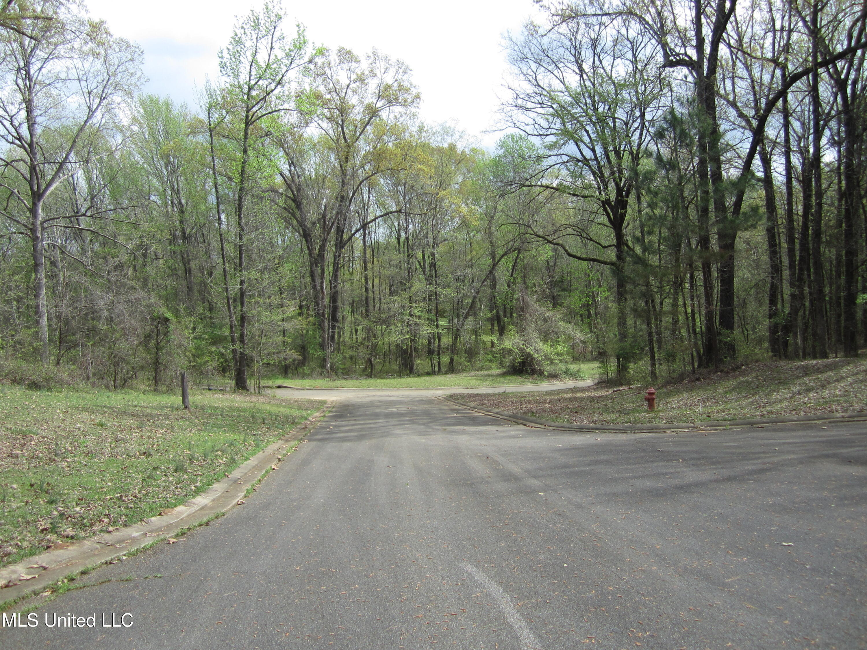 E Hwy 30, Oxford, Mississippi image 7