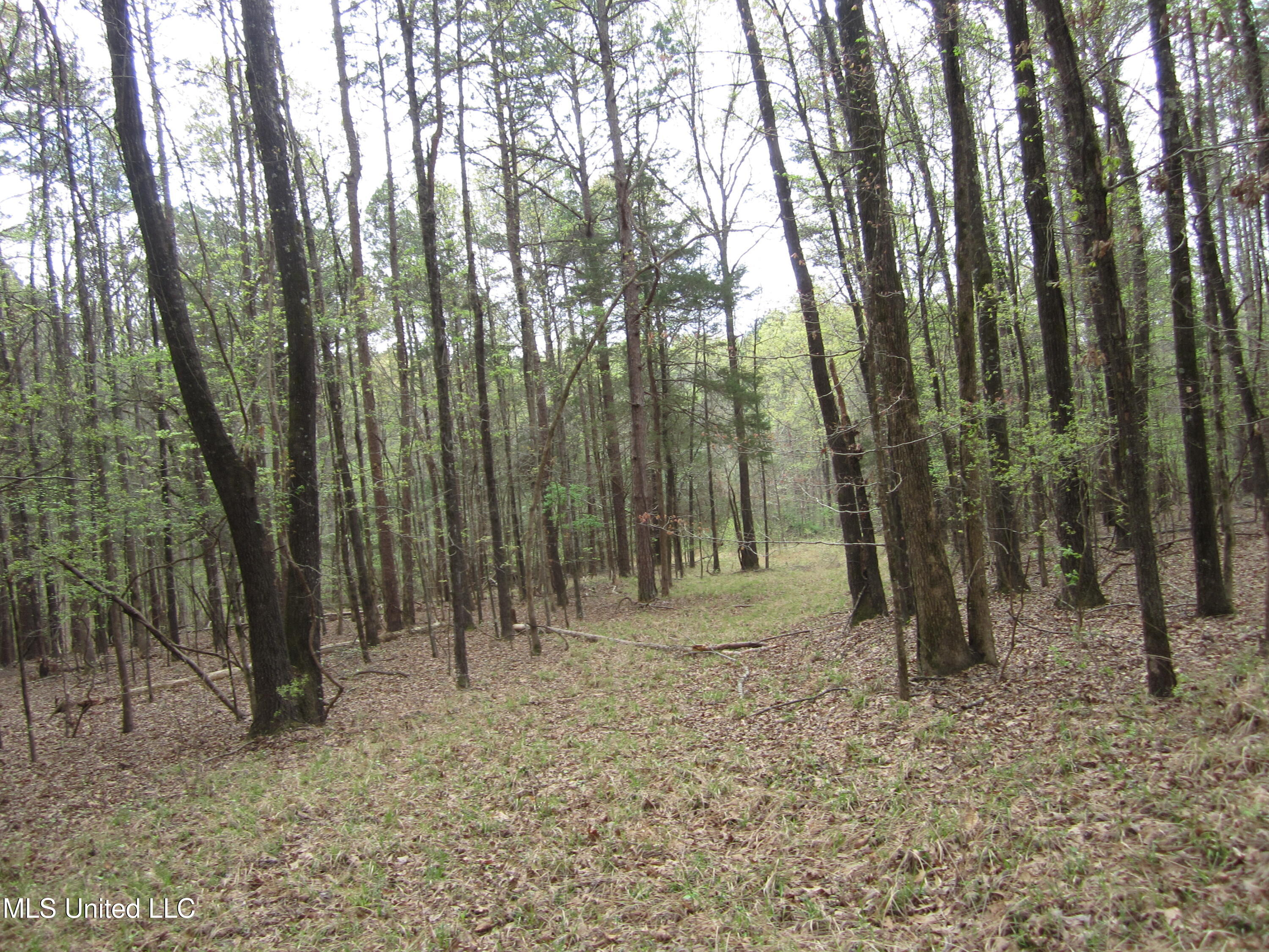 E Hwy 30, Oxford, Mississippi image 14