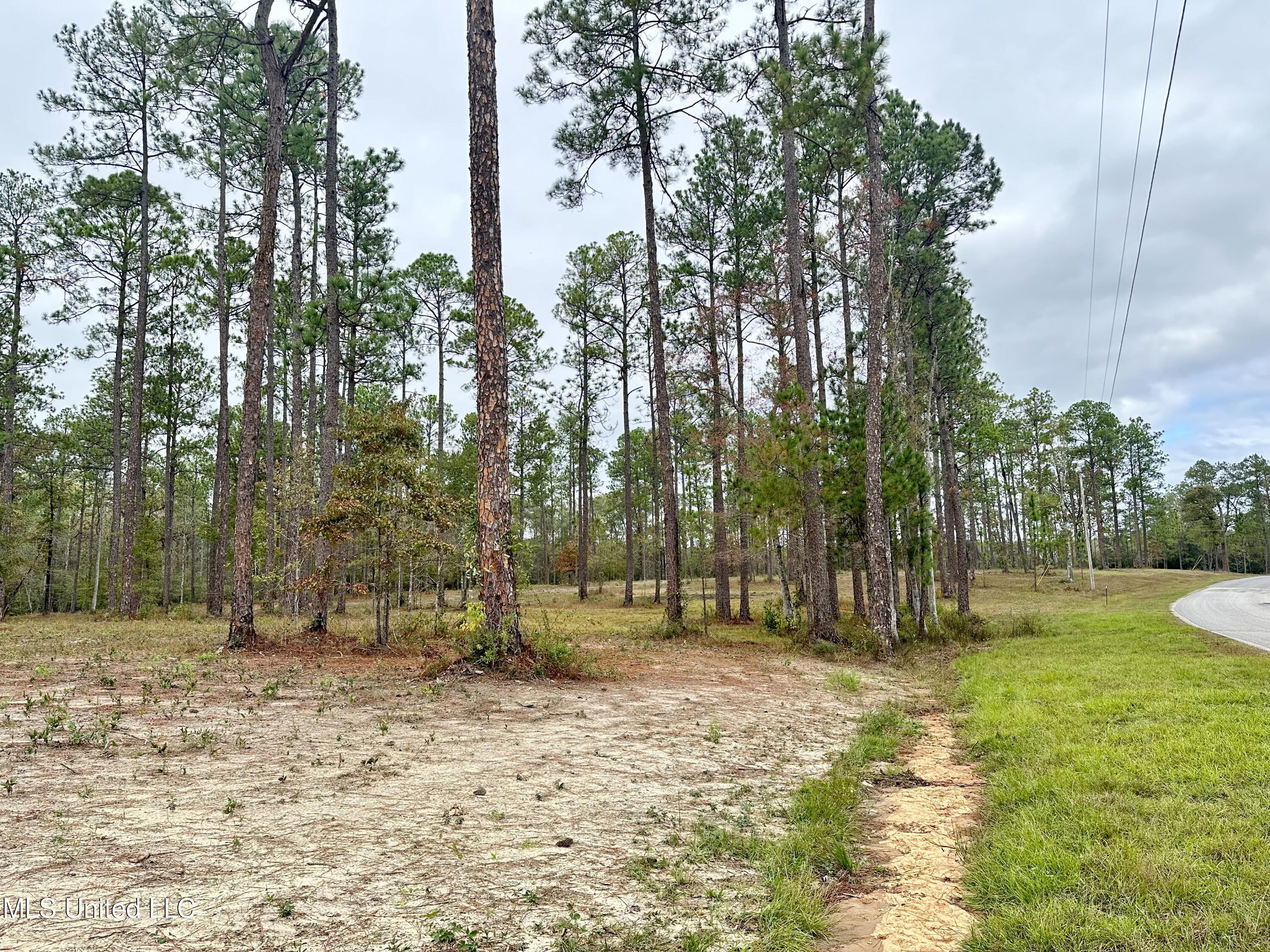 Lot 3 Cowart Holliday Road, Poplarville, Mississippi image 5