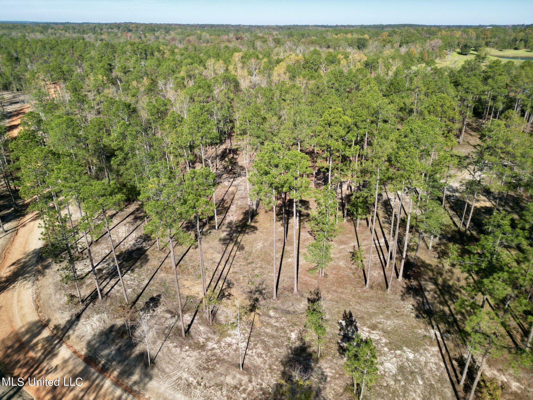 Lot 3 Cowart Holliday Road, Poplarville, Mississippi image 4