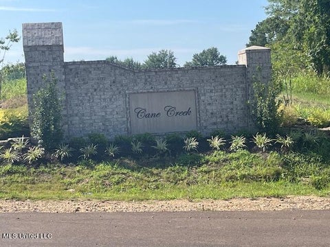 Vacant Land For Sale - 1901 Cane Creek Drive<br/> Hernando, MS 38632