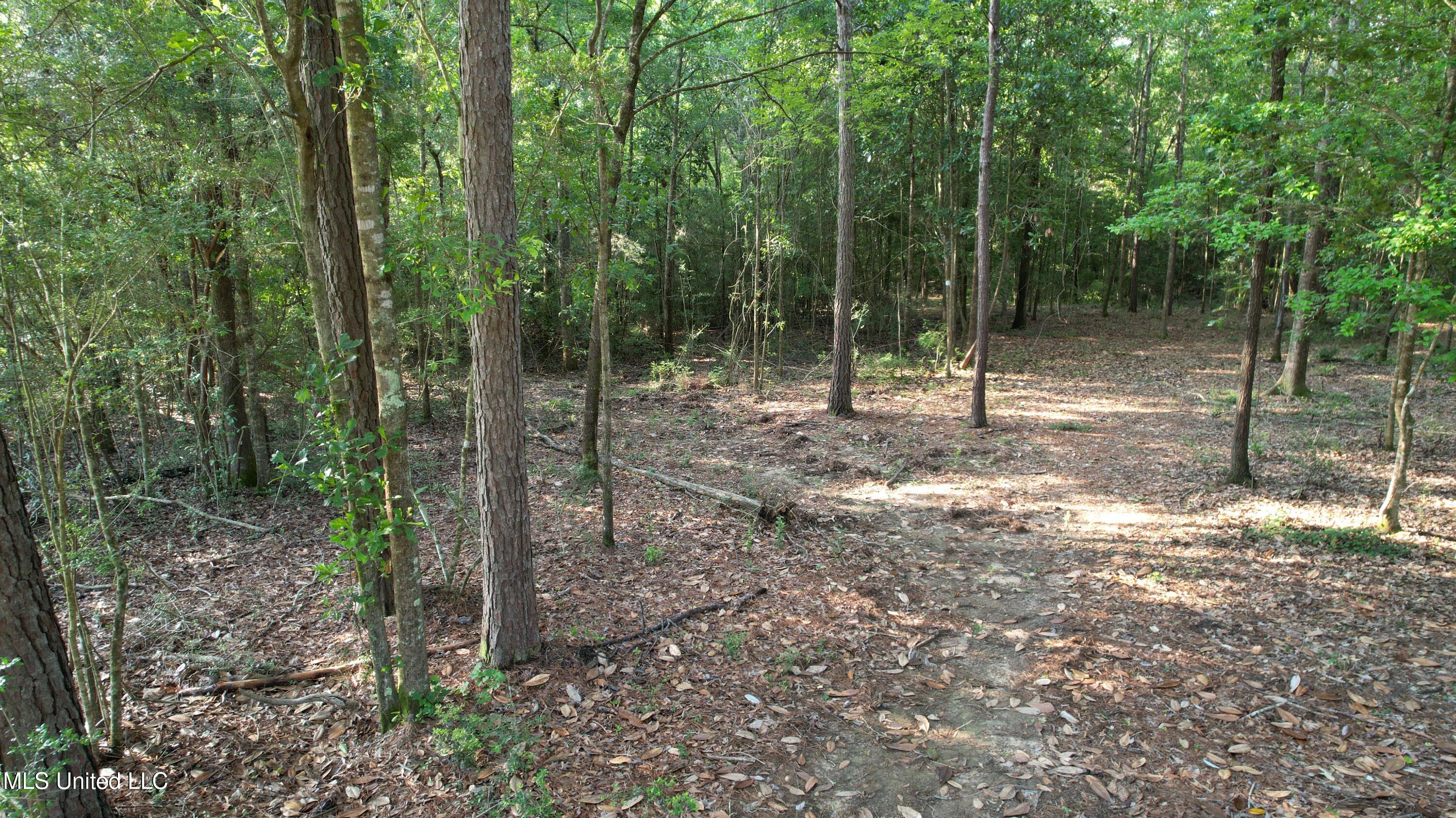 W Montcliff Drive, Vancleave, Mississippi image 4