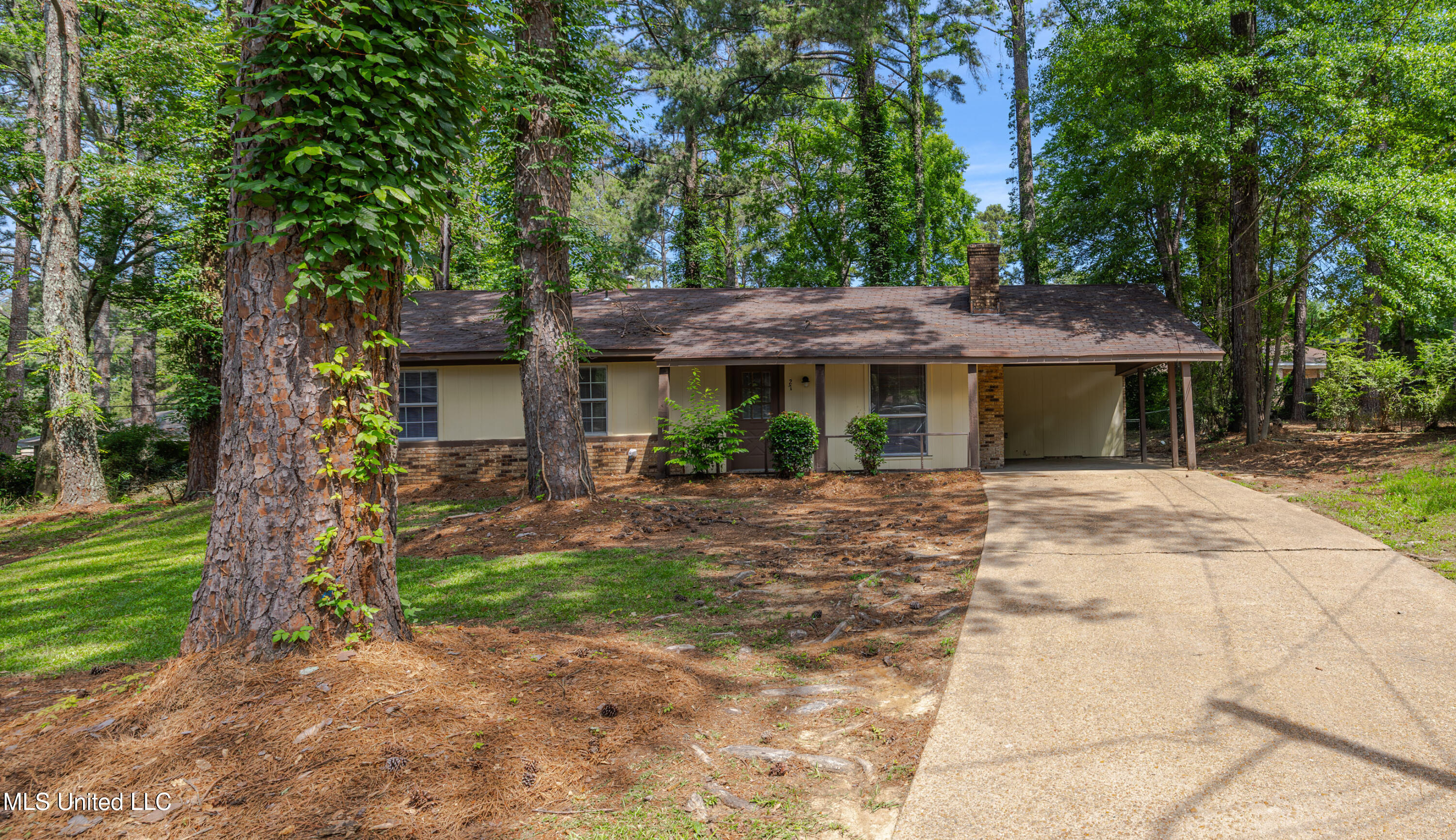 27 Wisteria Court, Jackson, Mississippi image 1