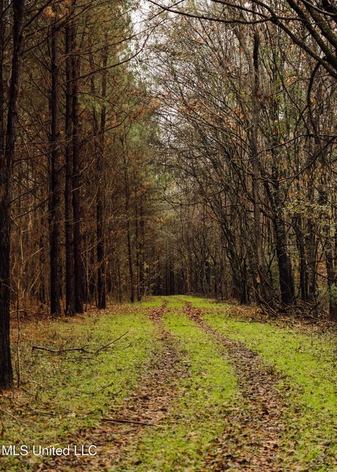 Vacant Land For Sale - 745 Black Jack Road<br/> Benton, MS 39039