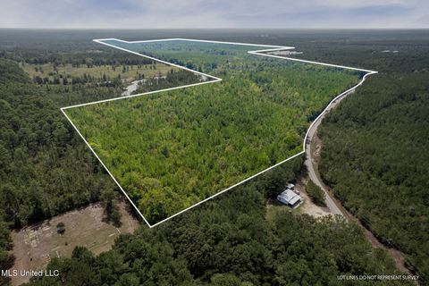 Vacant Land For Sale - 000 Rockhill To Lumberton Road<br/> Forrest County, Purvis, MS 39475