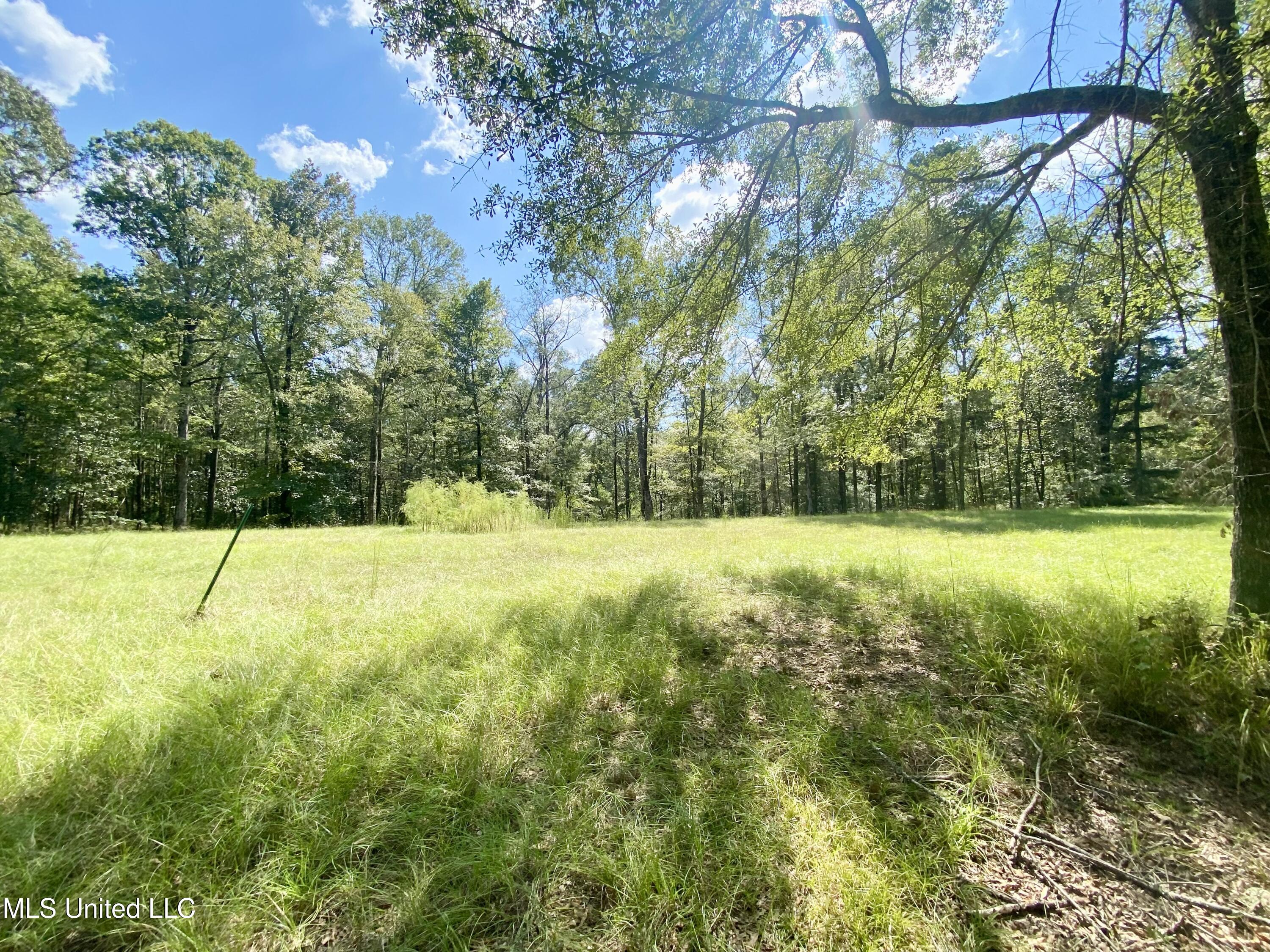 140 Westover Drive, Hazlehurst, Mississippi image 12