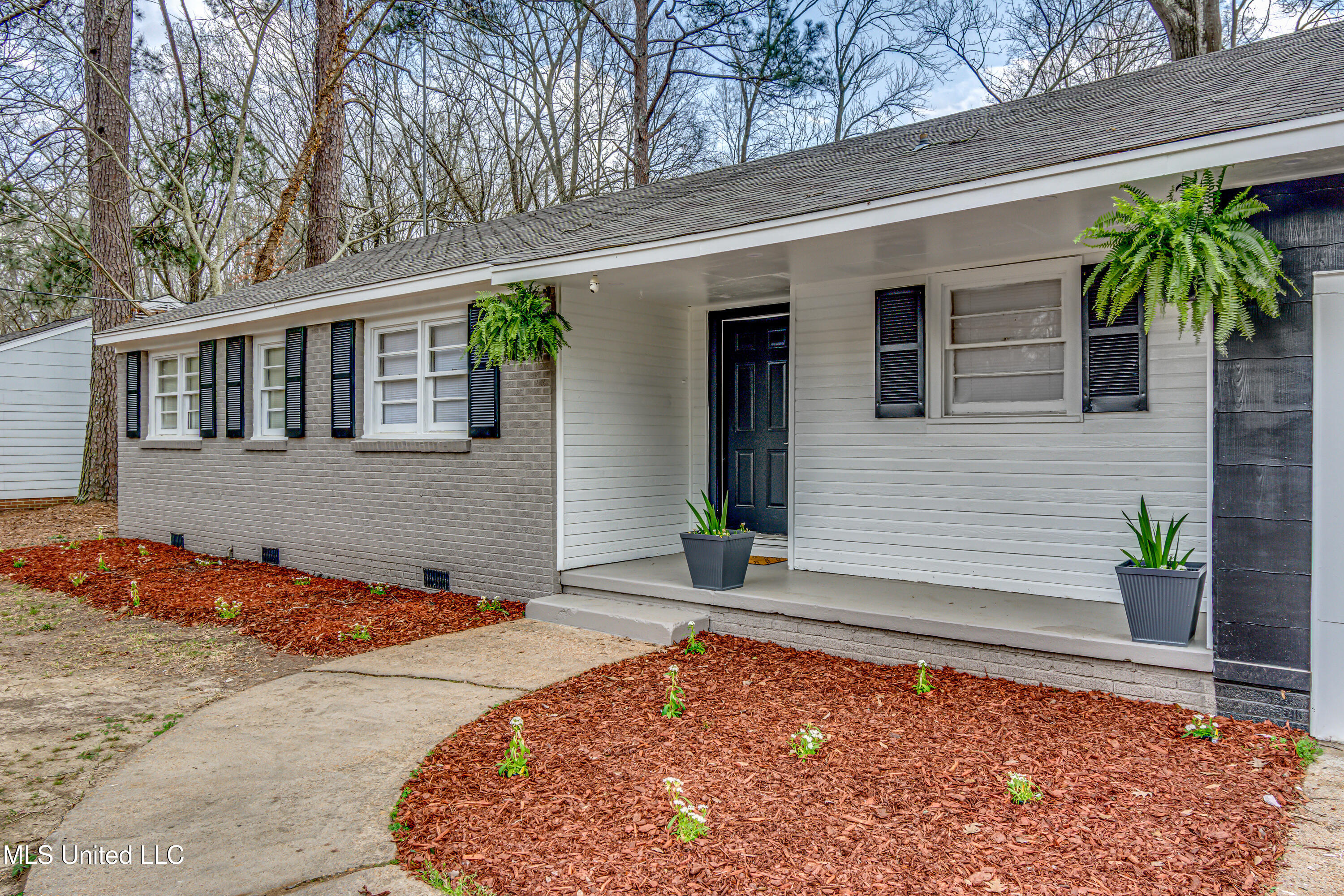 245 Wildwood Terrace, Jackson, Mississippi image 3